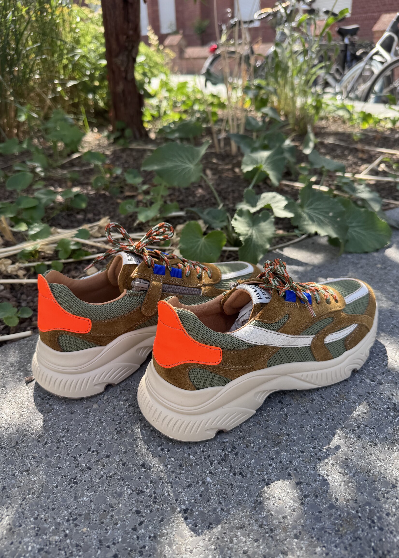 Romagnoli 9805R065 sneaker drag salvia power crema