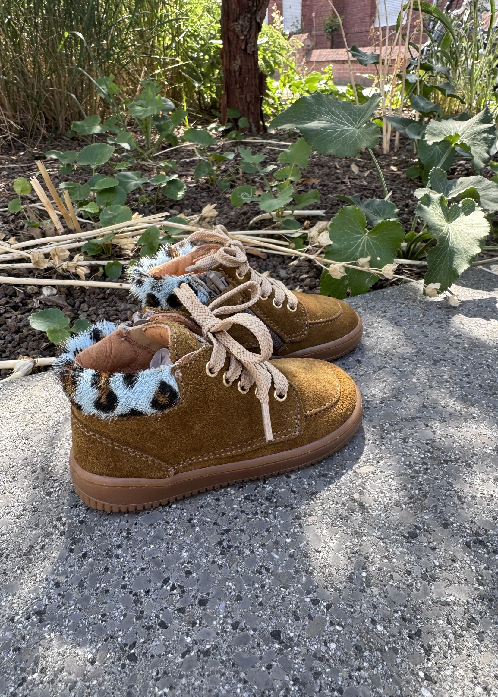 Romagnoli 9026R006 eerste stapper velour kaki