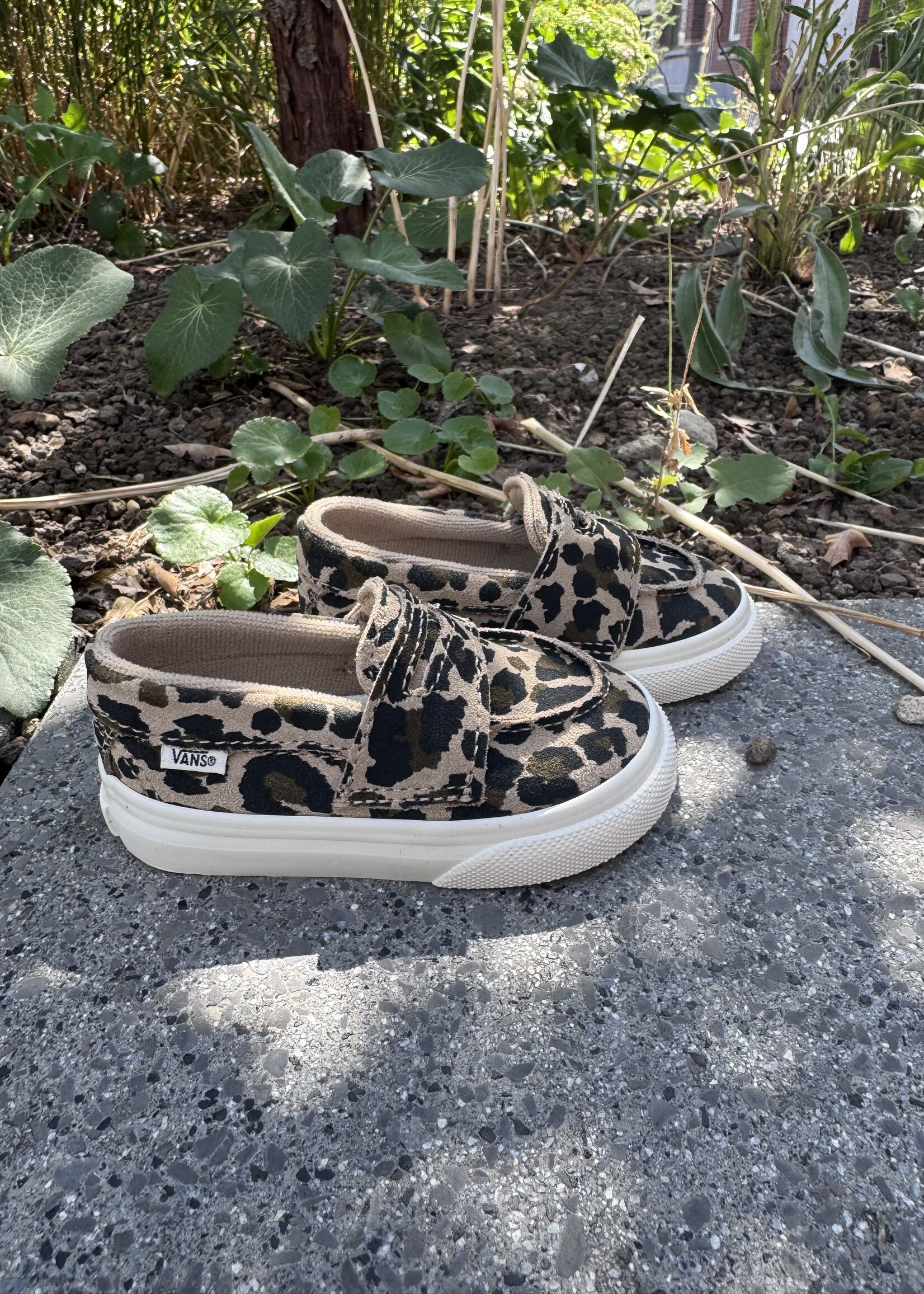 Vans loafer 53 leopard incense/marshmallow