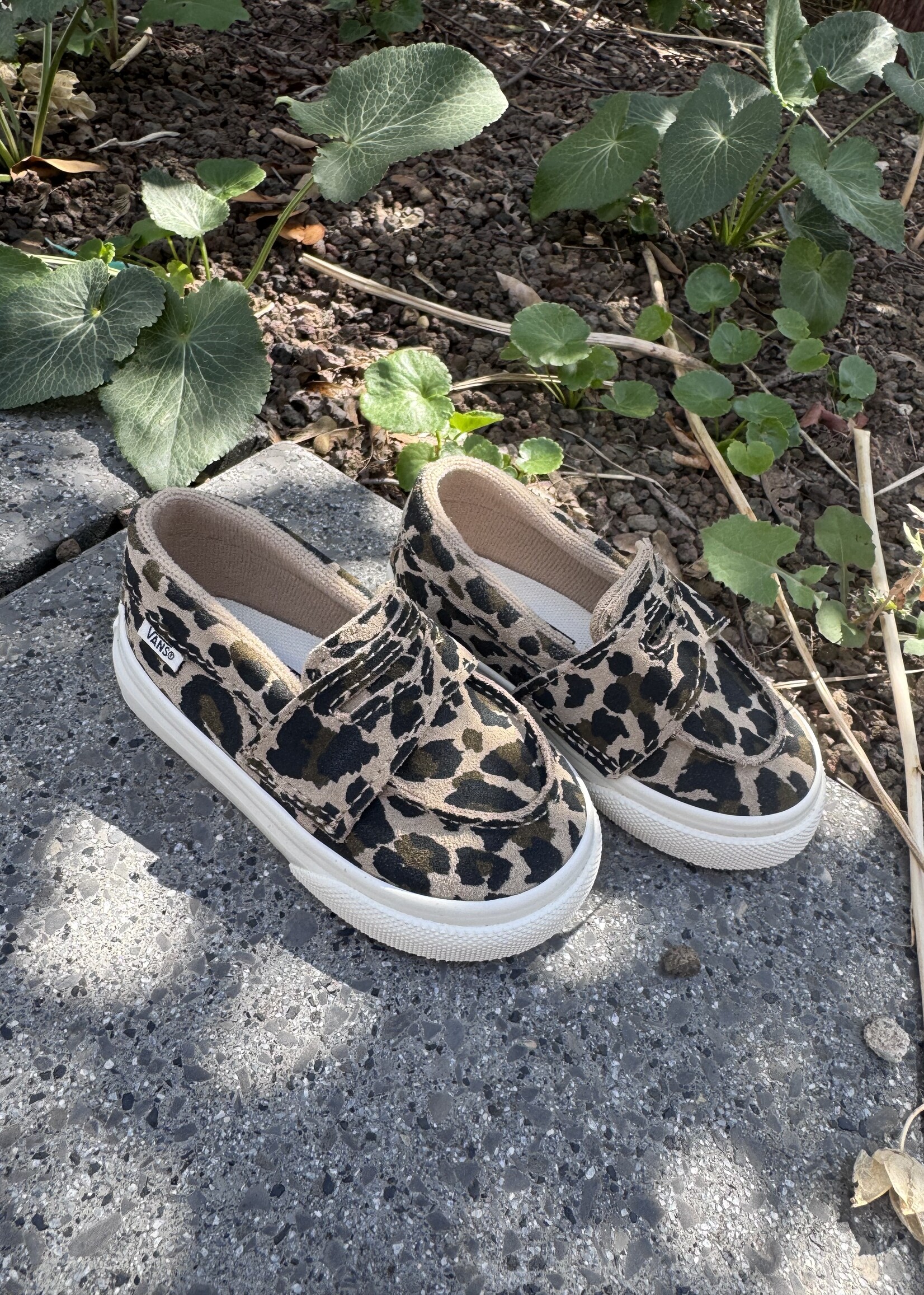 Vans loafer 53 leopard incense/marshmallow