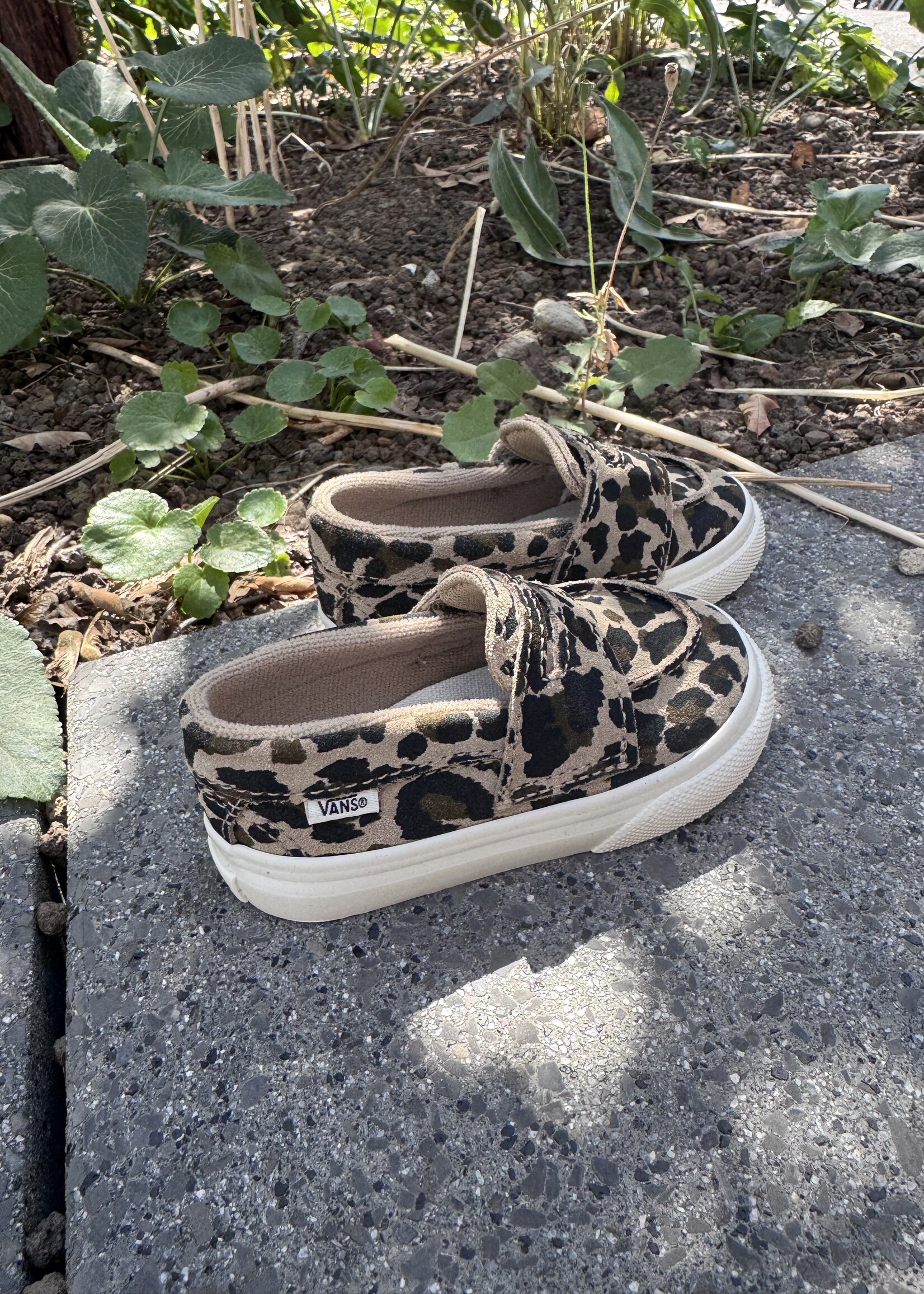 Vans loafer 53 leopard incense/marshmallow