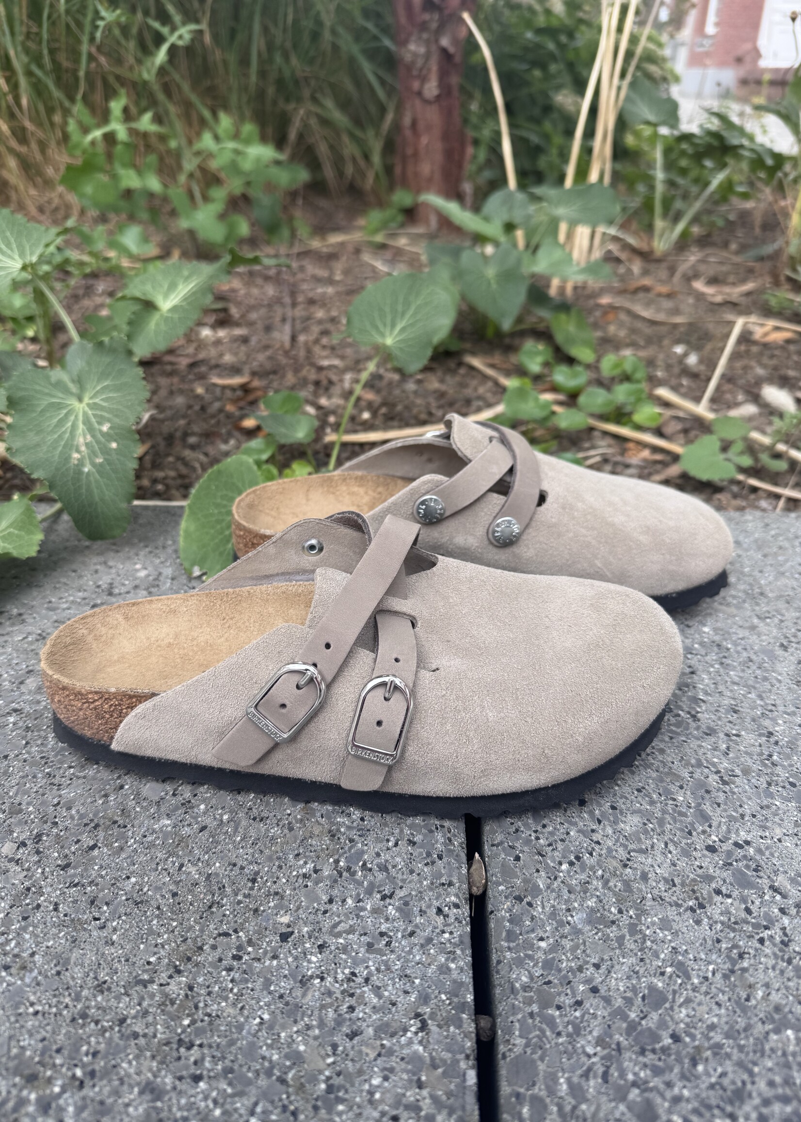 Birkenstock Blair D-buckle LEVE Taupe