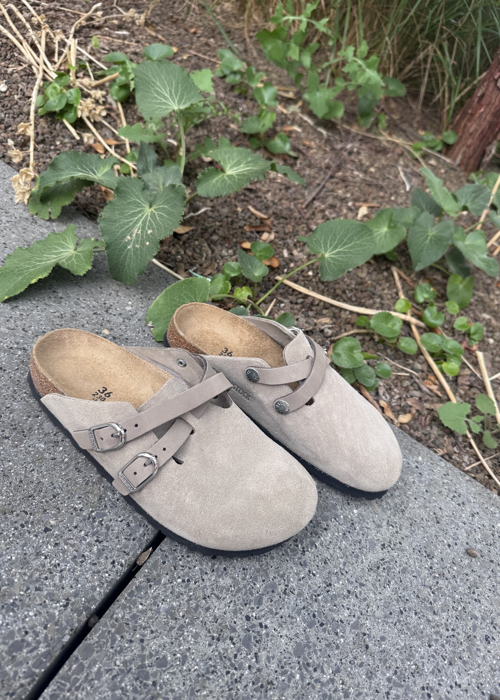Birkenstock Blair D-buckle LEVE Taupe