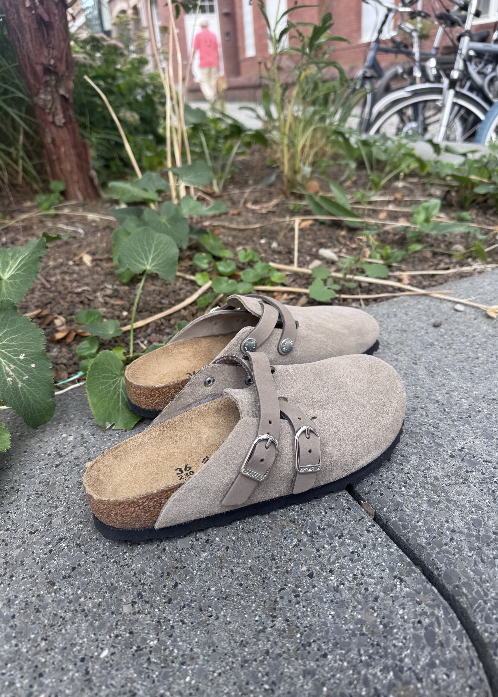 Birkenstock Blair D-buckle LEVE Taupe