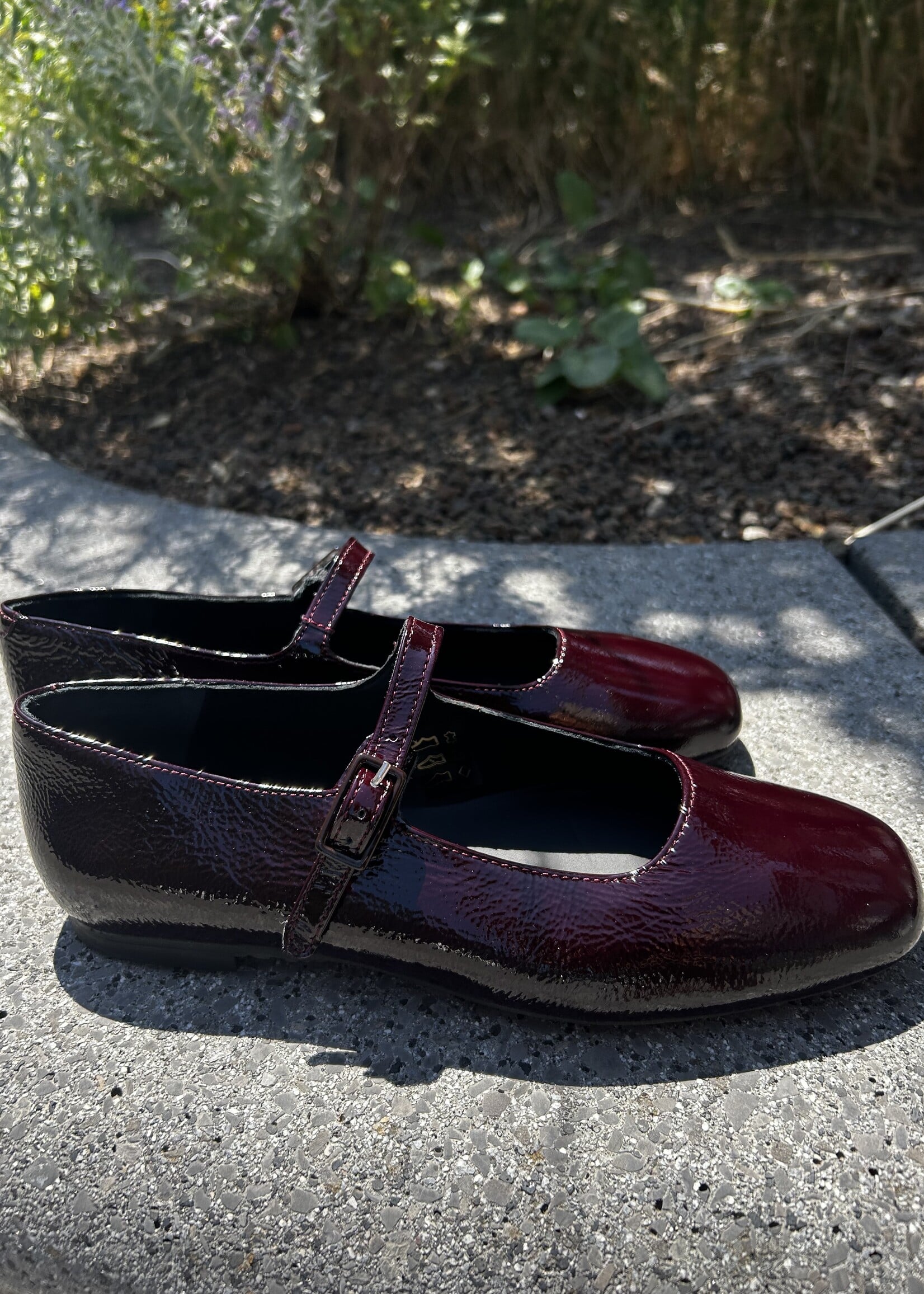 Angulus 1702-105 ballerina with a moderate square toe Amarone