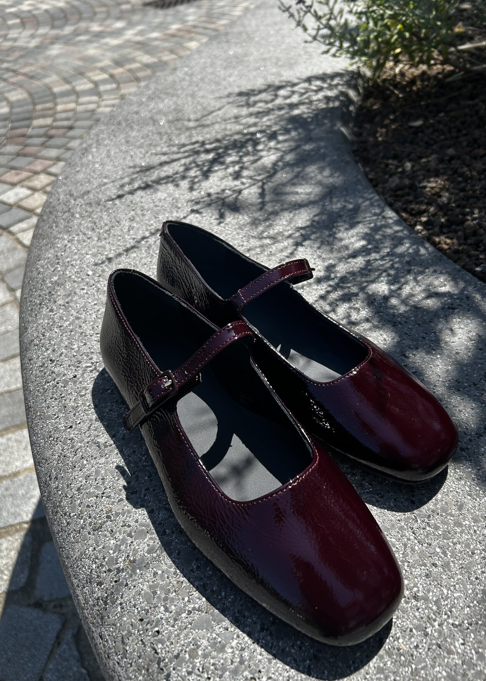 Angulus 1702-105 ballerina with a moderate square toe Amarone