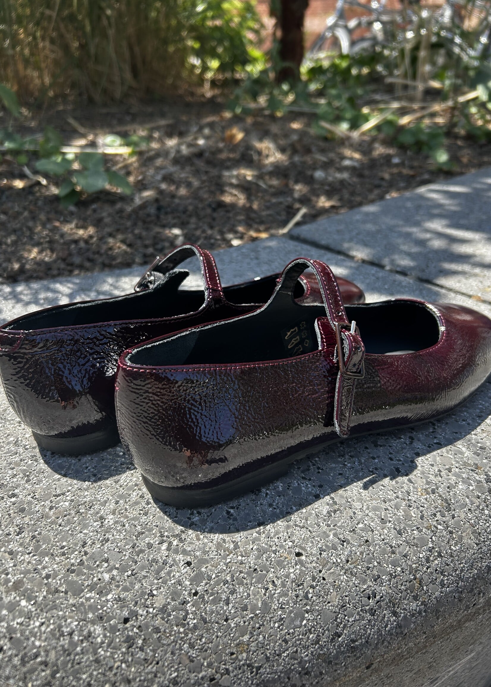 Angulus 1702-105 ballerina with a moderate square toe Amarone