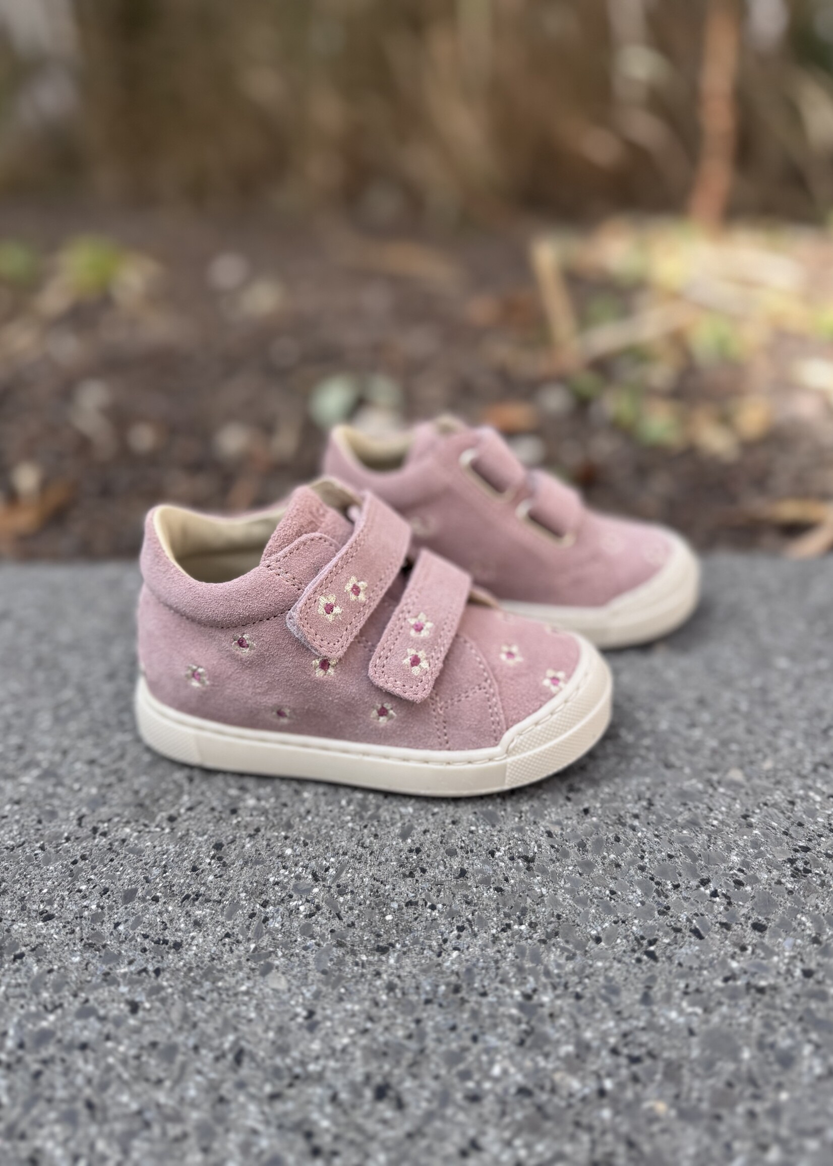 Falcotto snopes zip embr daisies suede rose