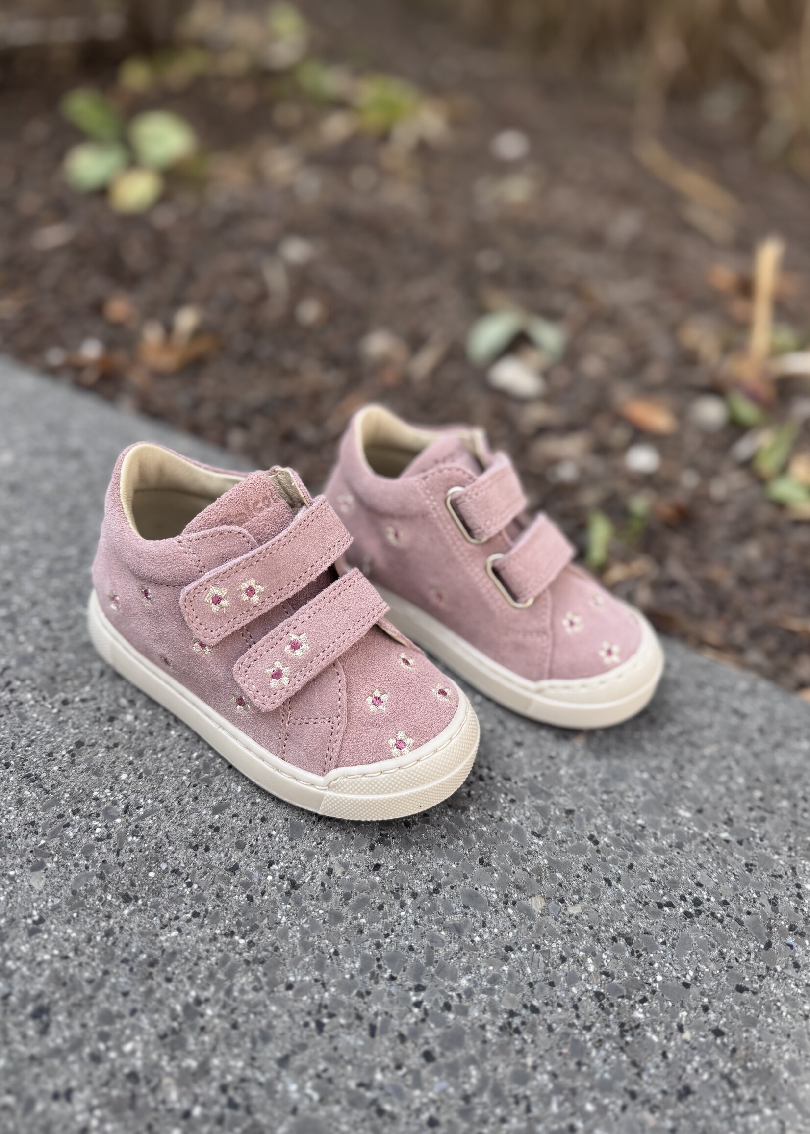 Falcotto snopes zip embr daisies suede rose