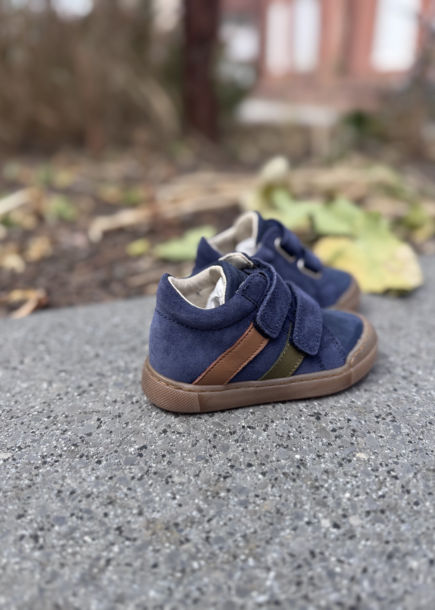 Falcotto Gazer suede navy