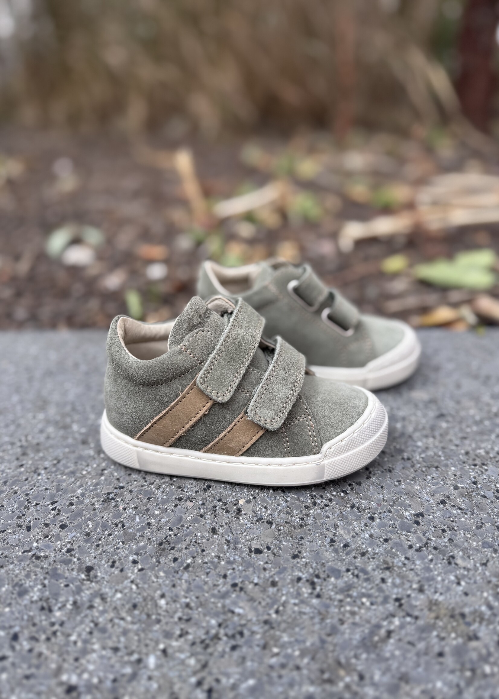 Falcotto Gazer suede olive