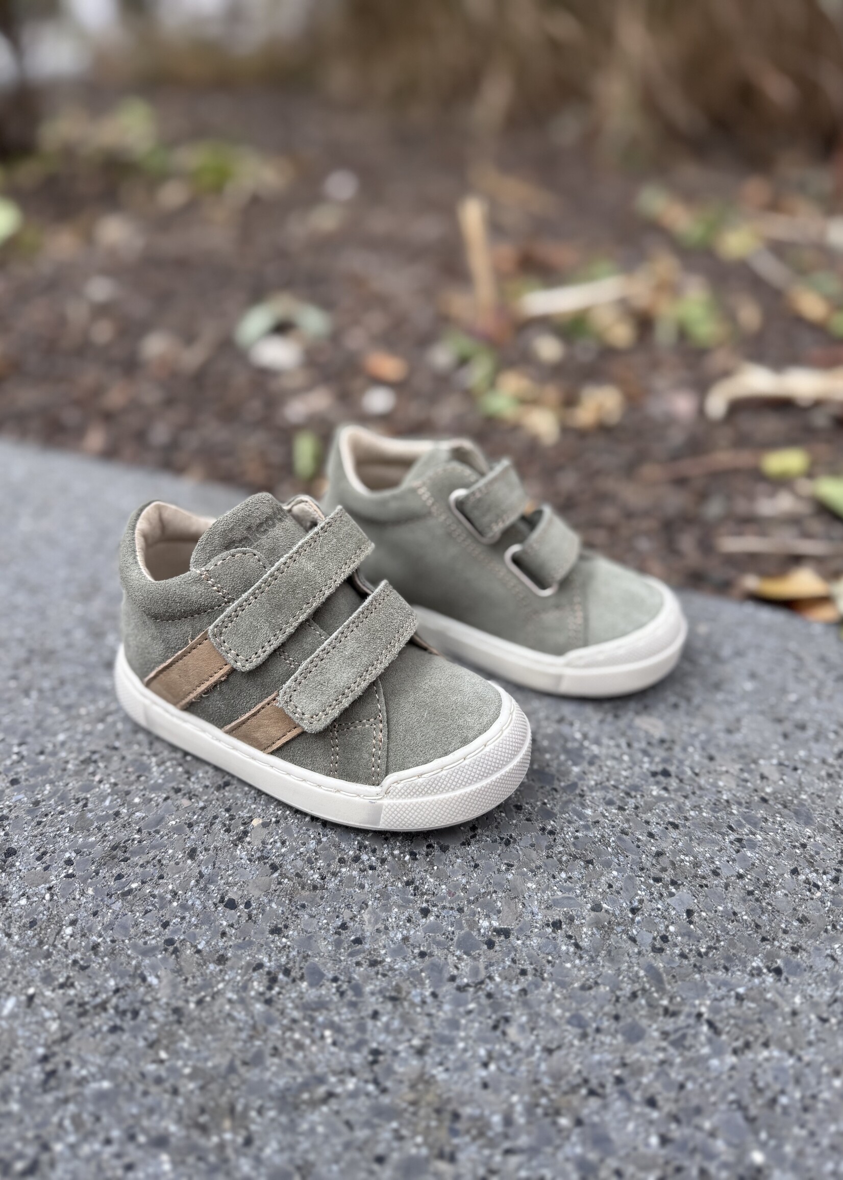Falcotto Gazer suede olive