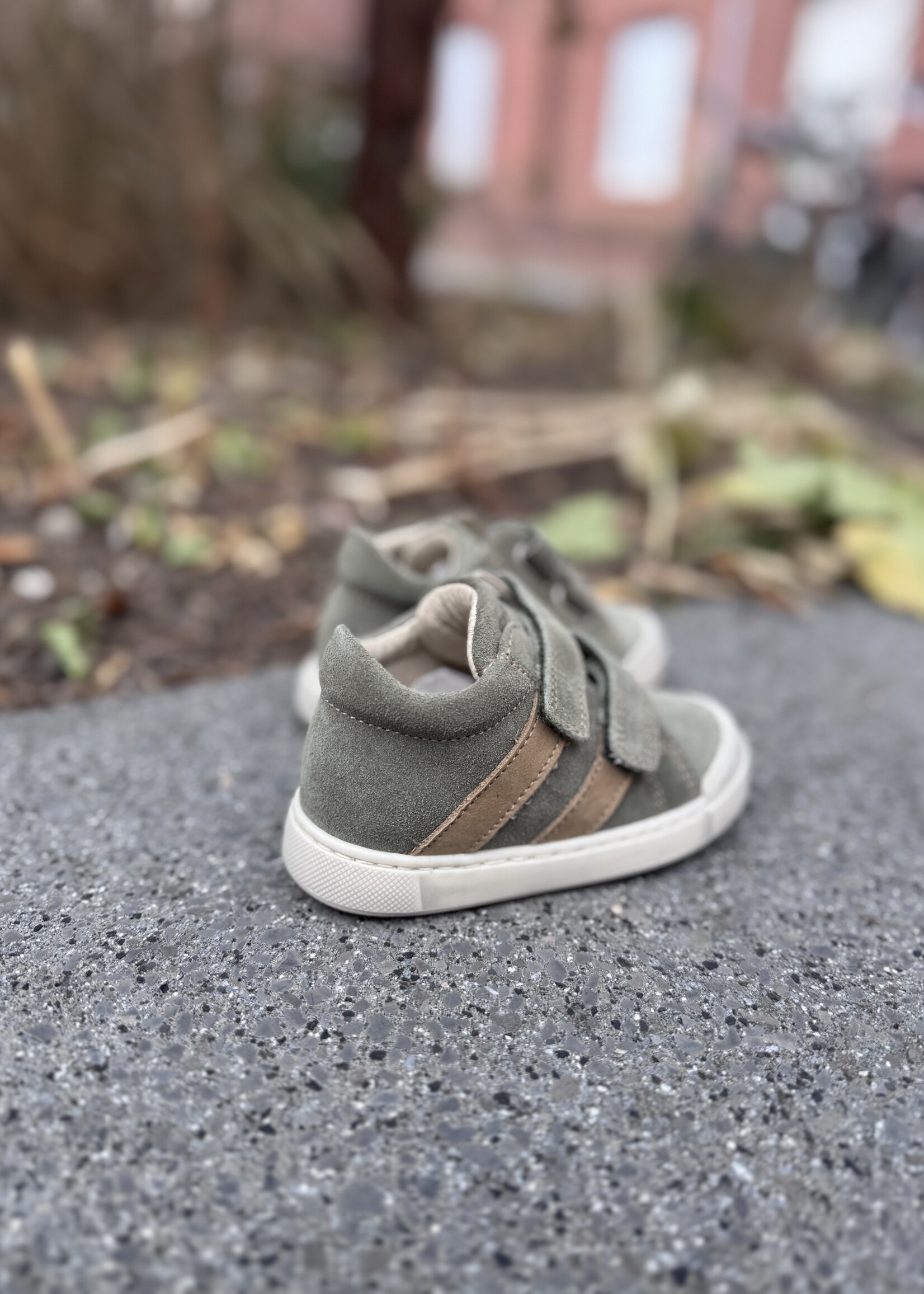 Falcotto Gazer suede olive