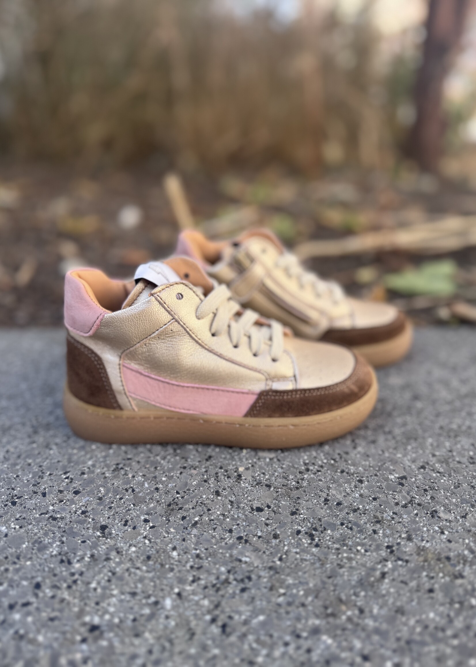 Ocra 976 sneaker suede portogallo sigar etoile oro