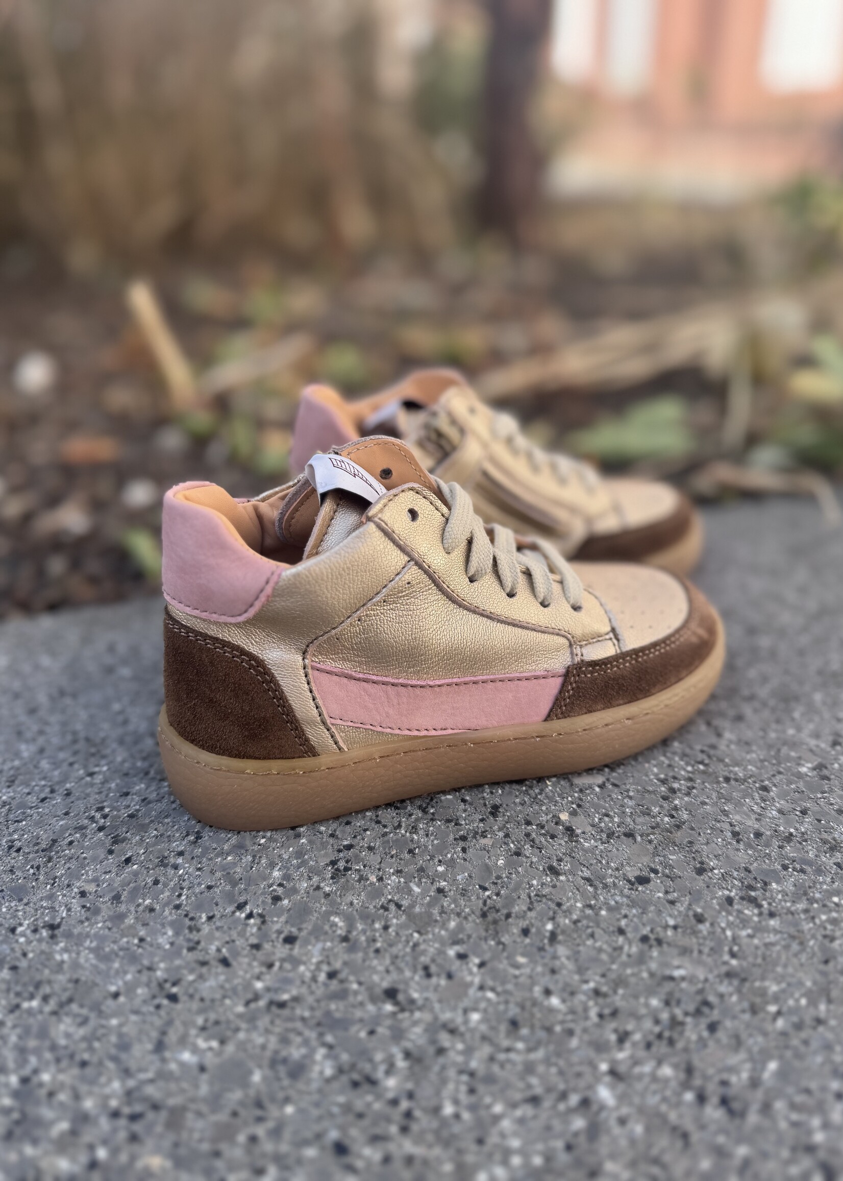 Ocra 976 sneaker suede portogallo sigar etoile oro