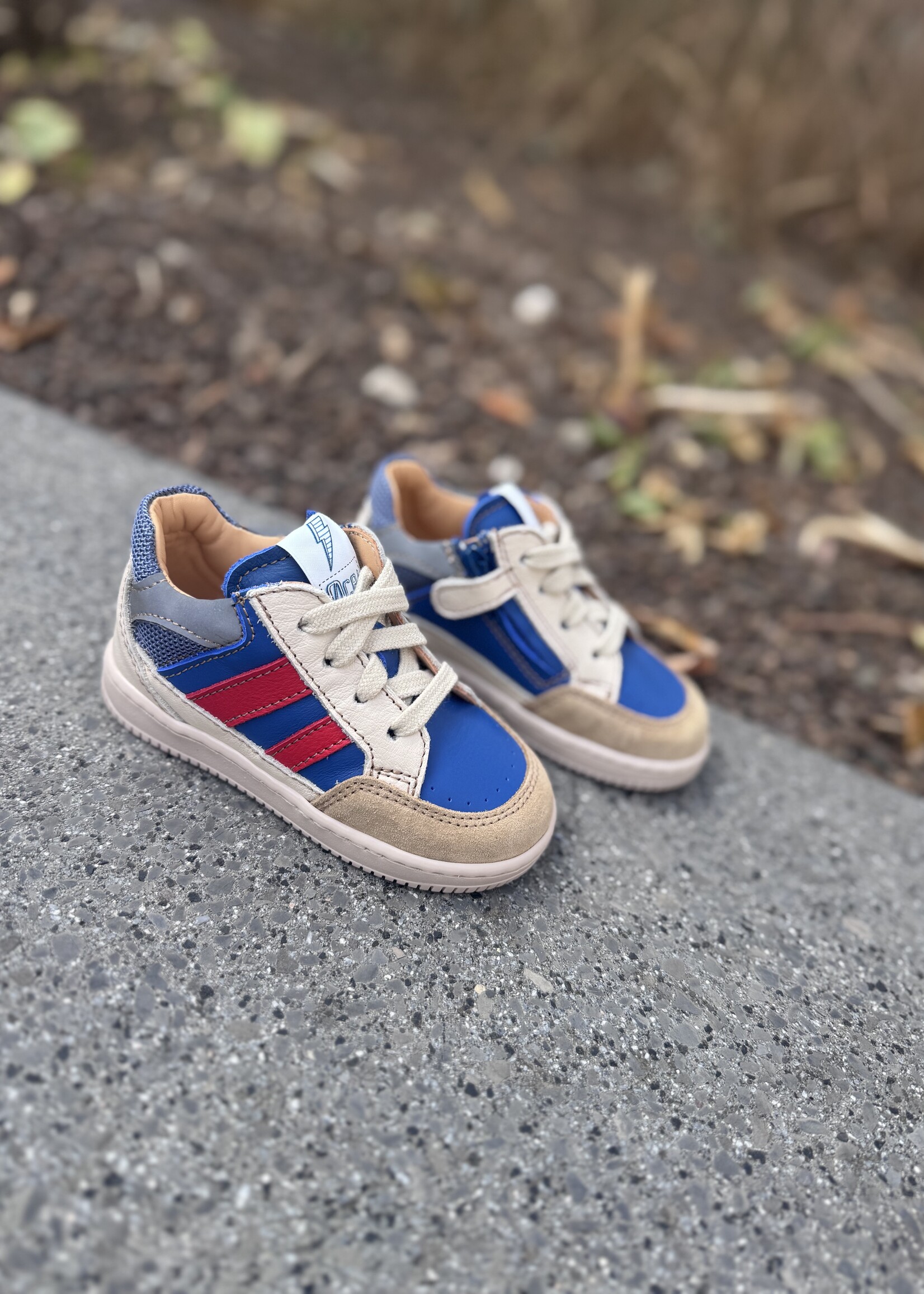 Ocra D914 suede portogallo cappuccino vela bluette
