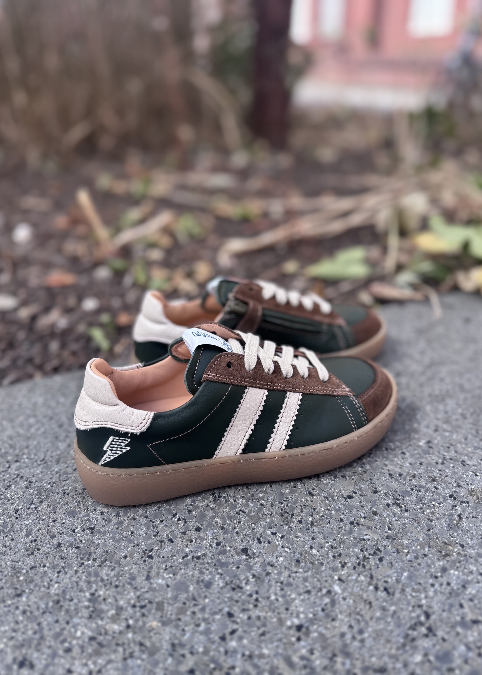 Ocra 134 suede portogallo sigar alga groen