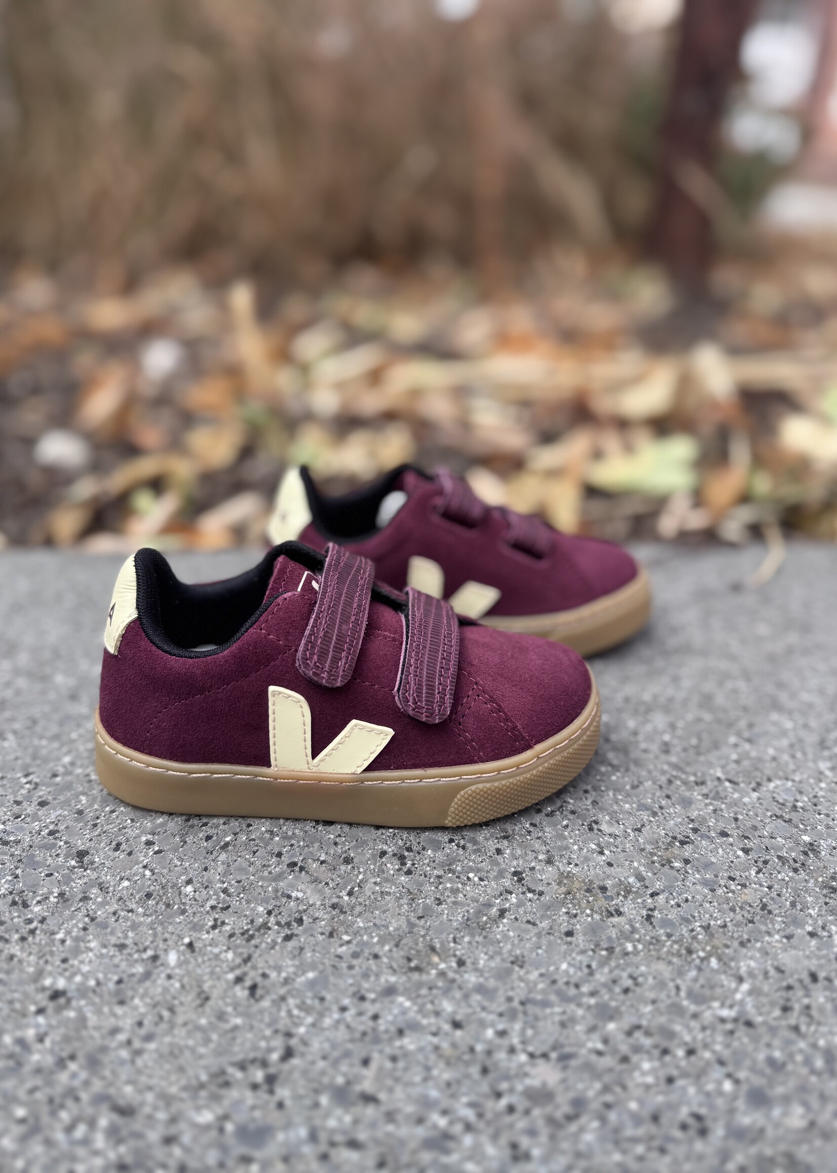 VEJA small esplar suede amarante sun