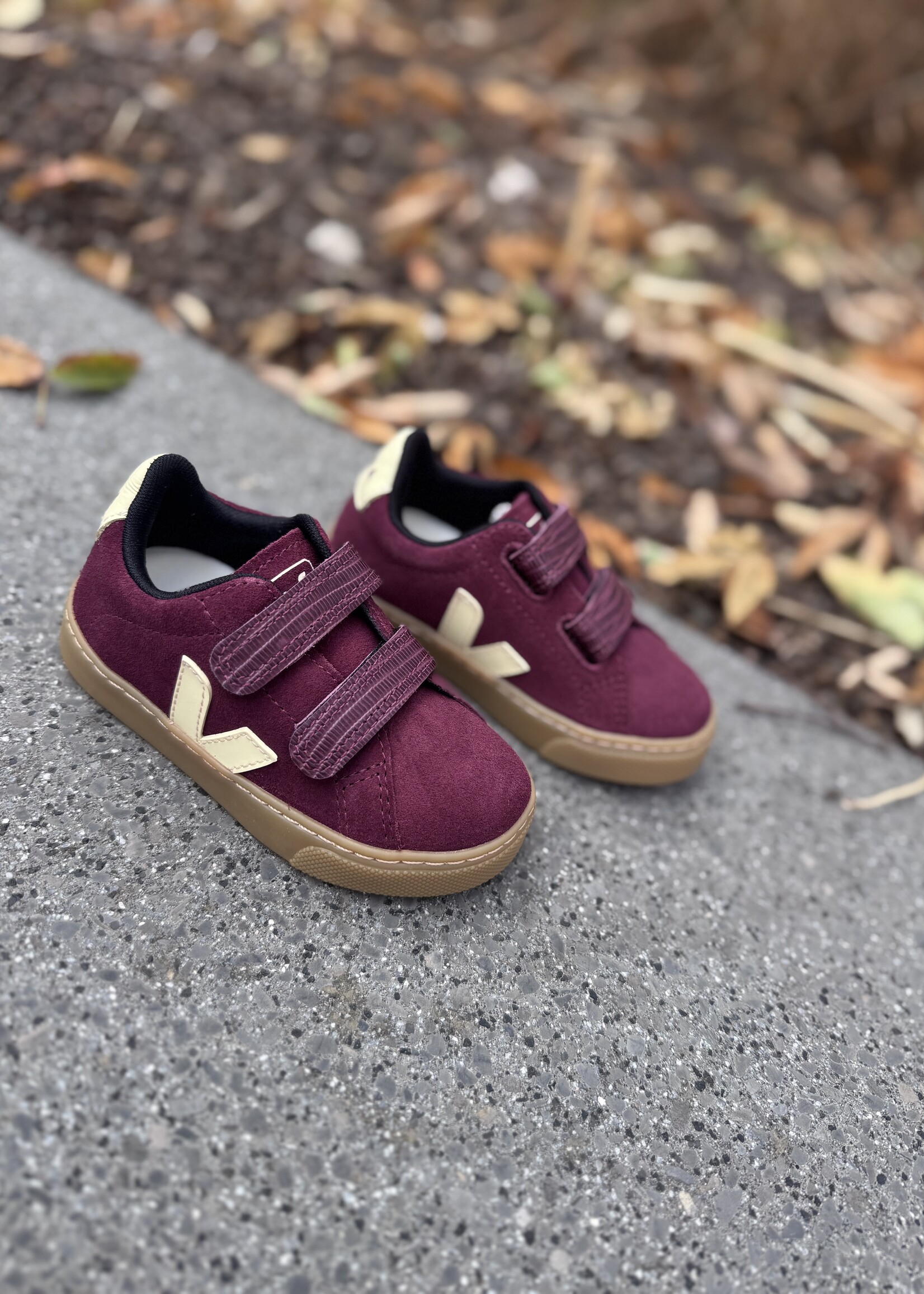 VEJA small esplar suede amarante sun