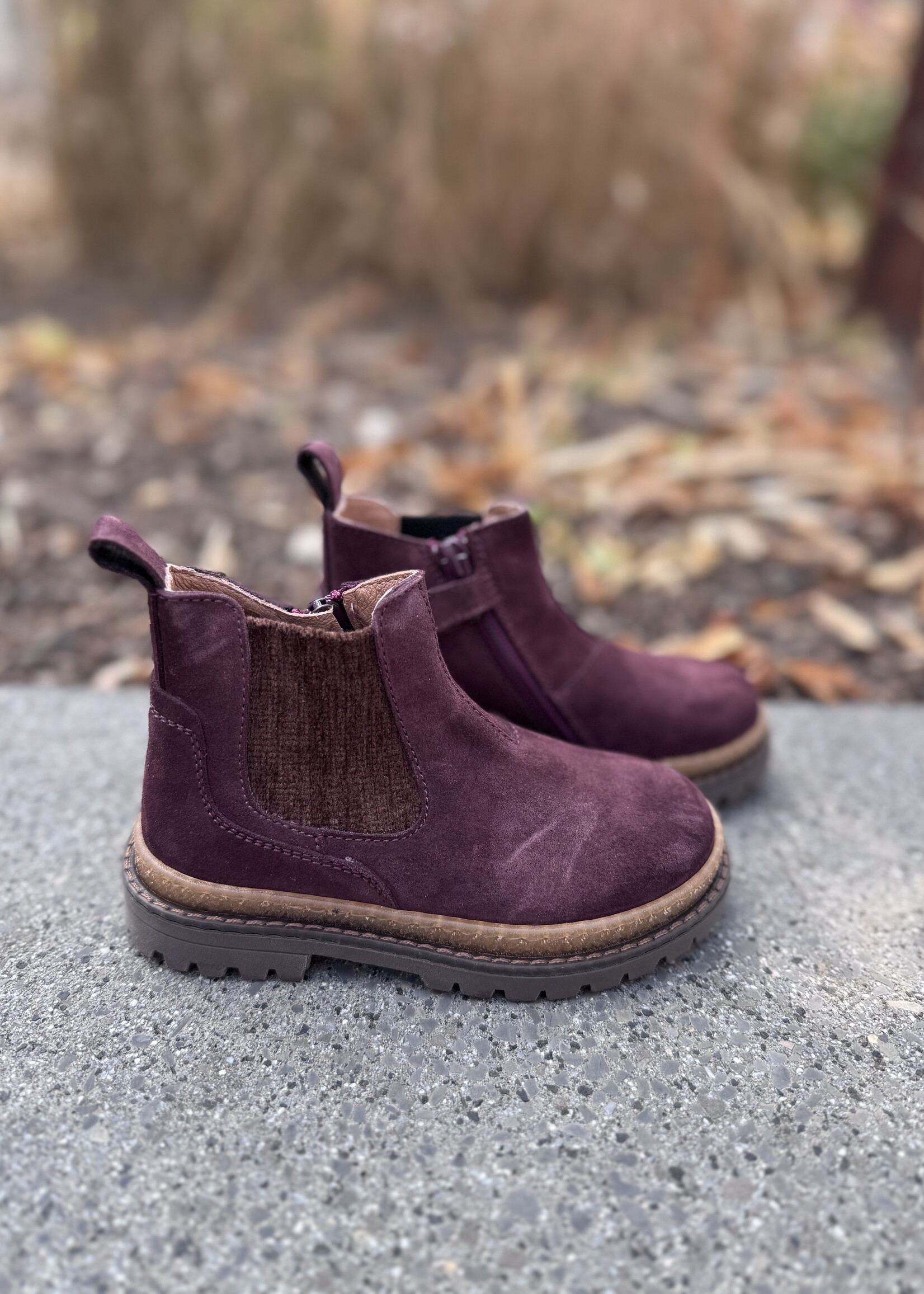 6812CO beatles old purple