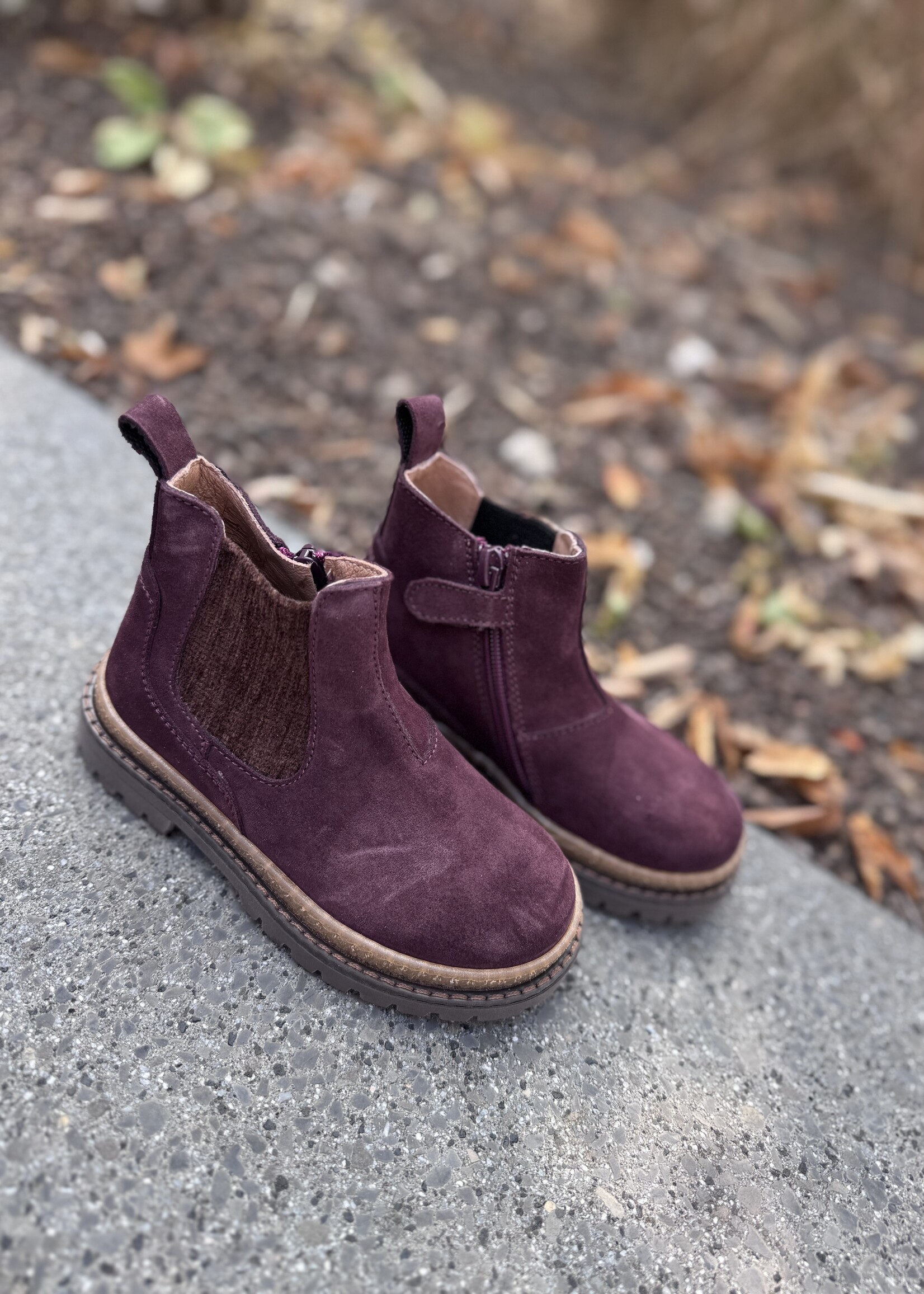 6812CO beatles old purple