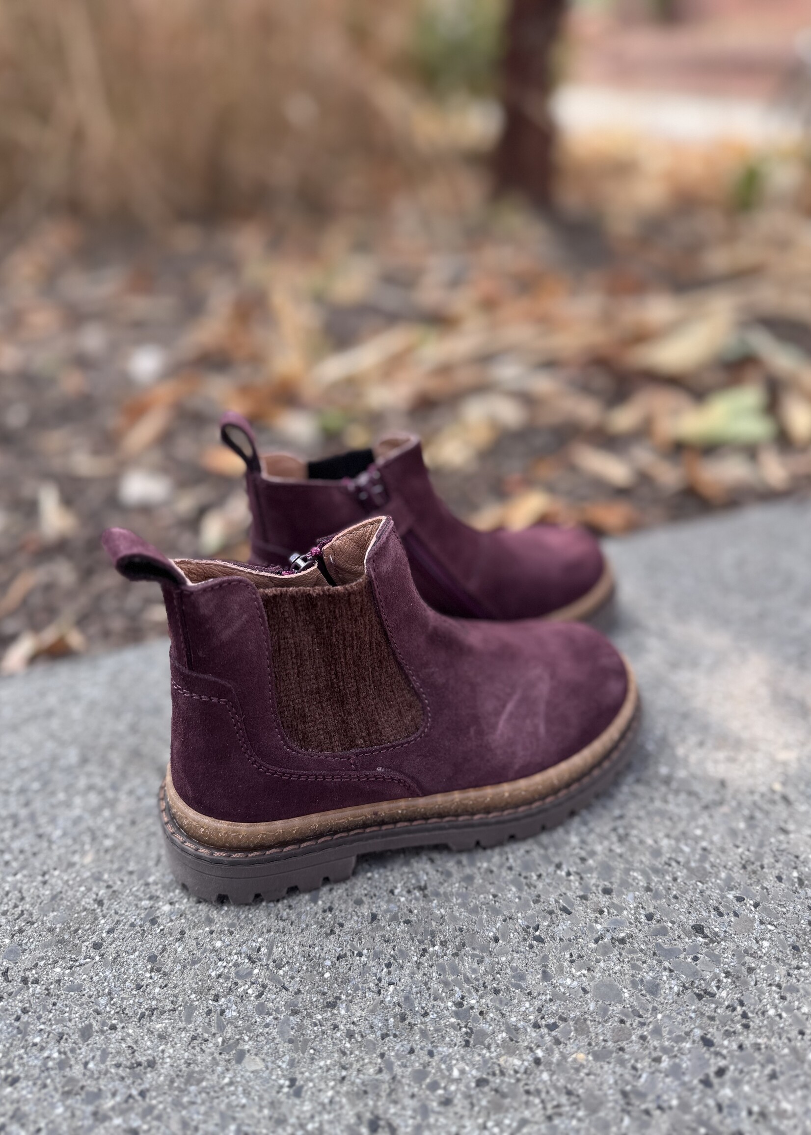 6812CO beatles old purple