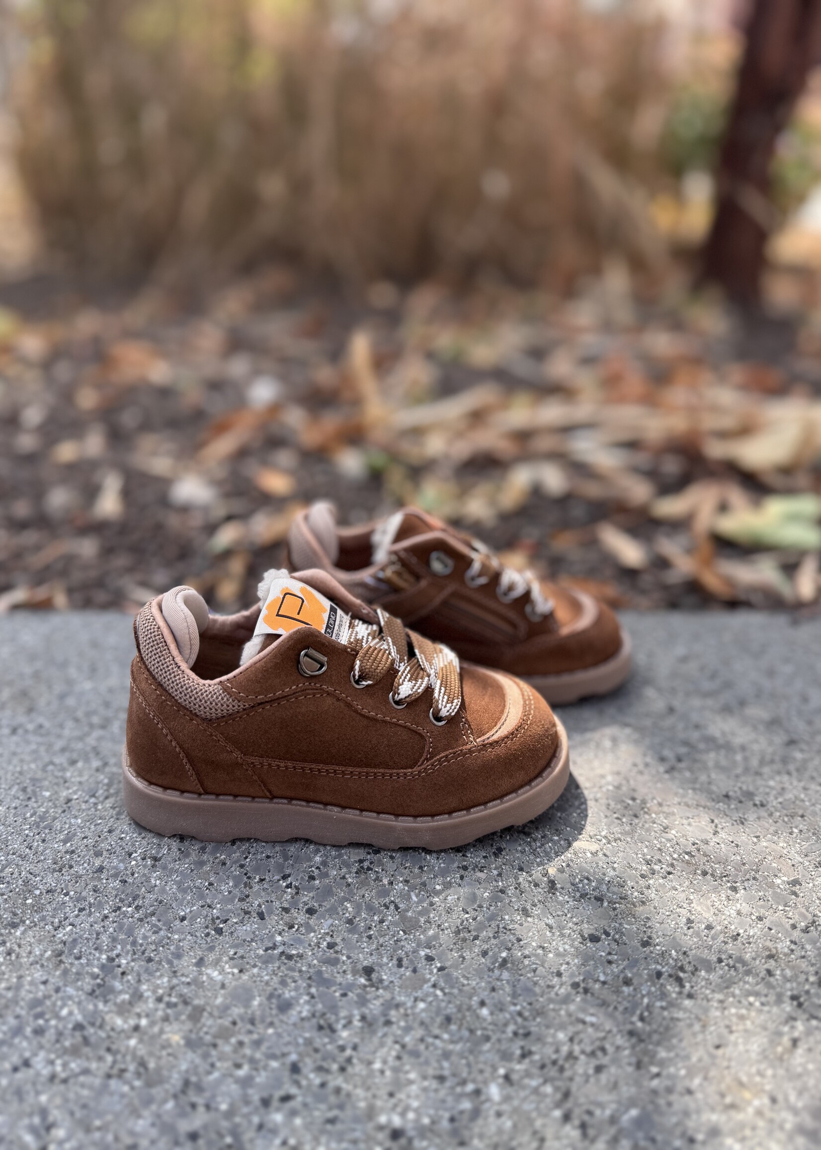 7014CW veterschoen scarpa brown
