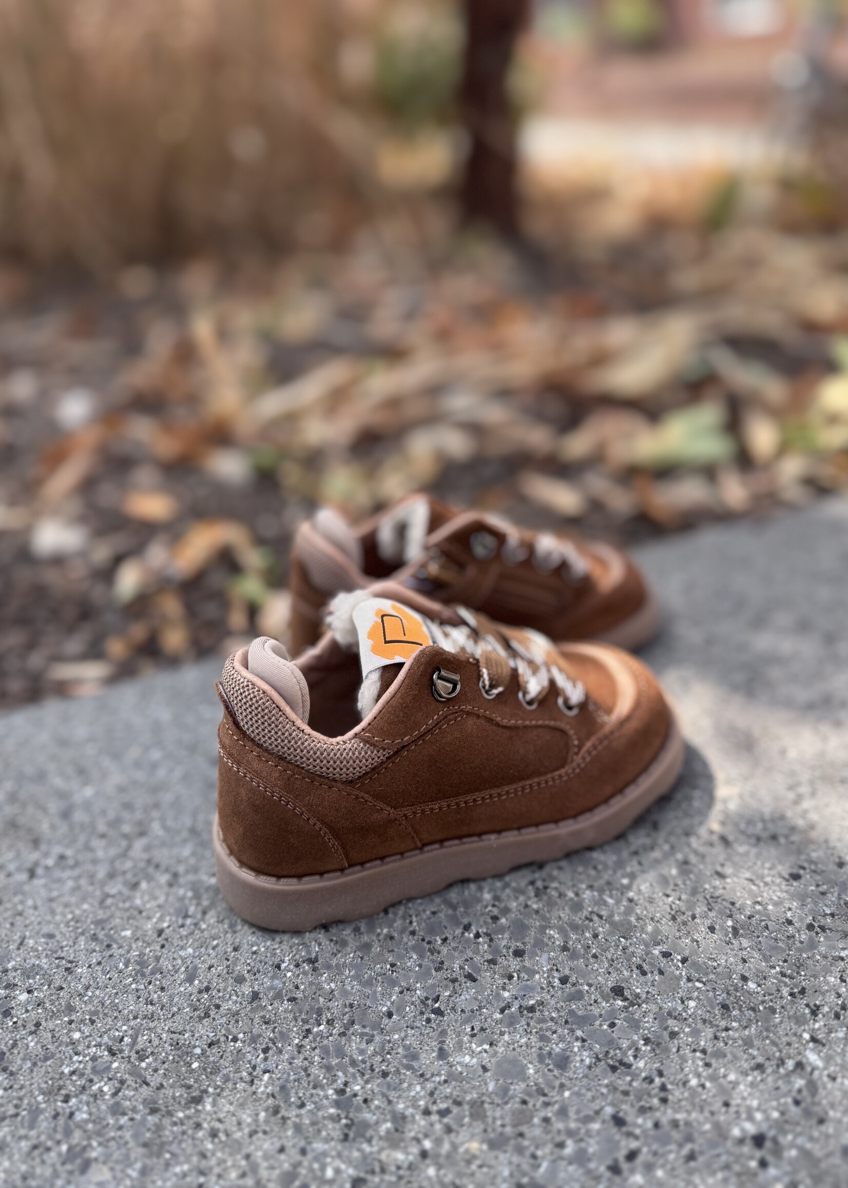 7014CW veterschoen scarpa brown