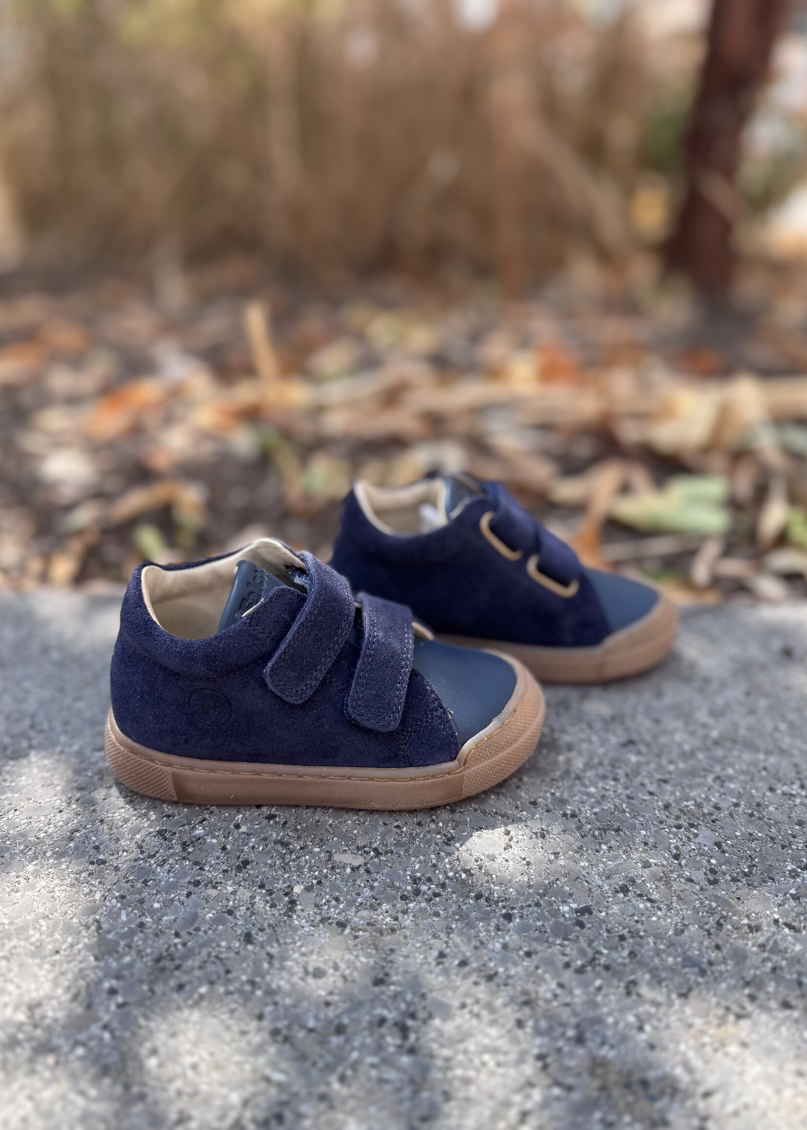 Falcotto snopes navy navy