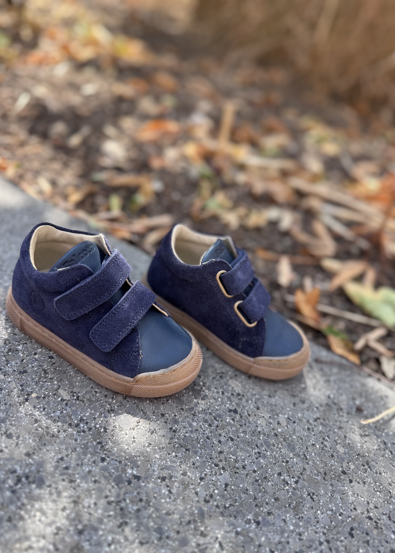 Falcotto snopes navy navy