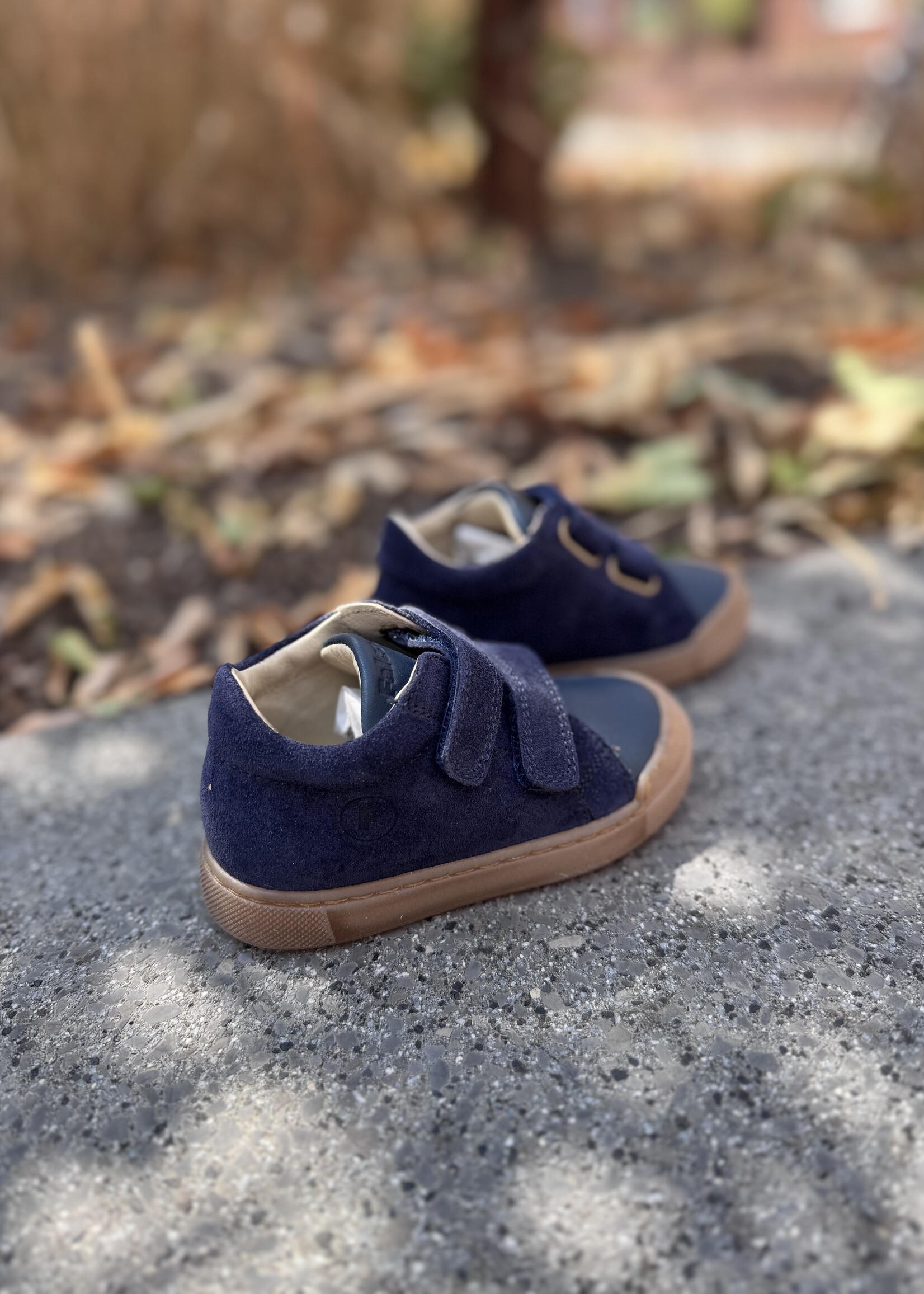Falcotto snopes navy navy
