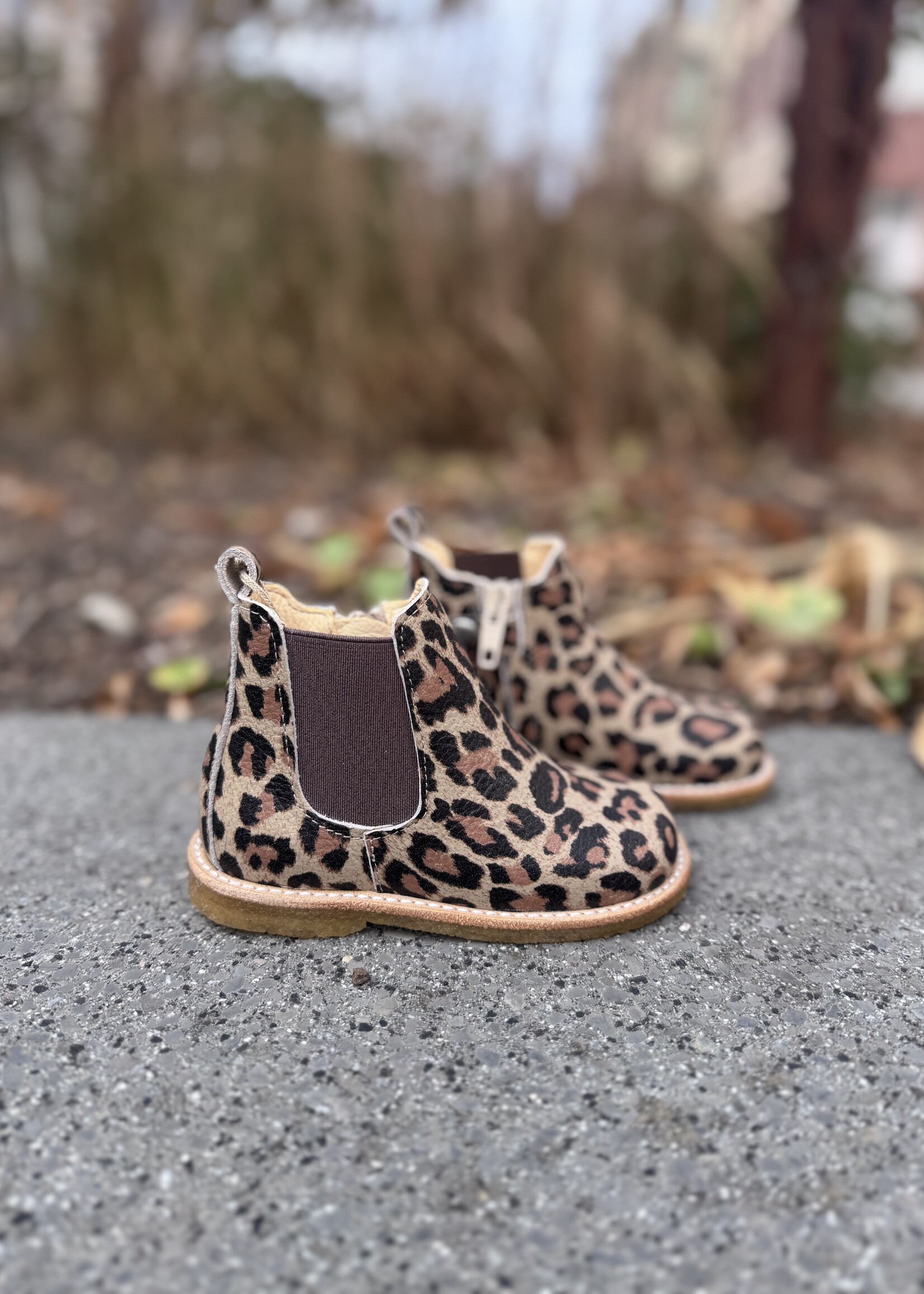 Angulus 6025-105 beginner chelsea boot beige leo brown