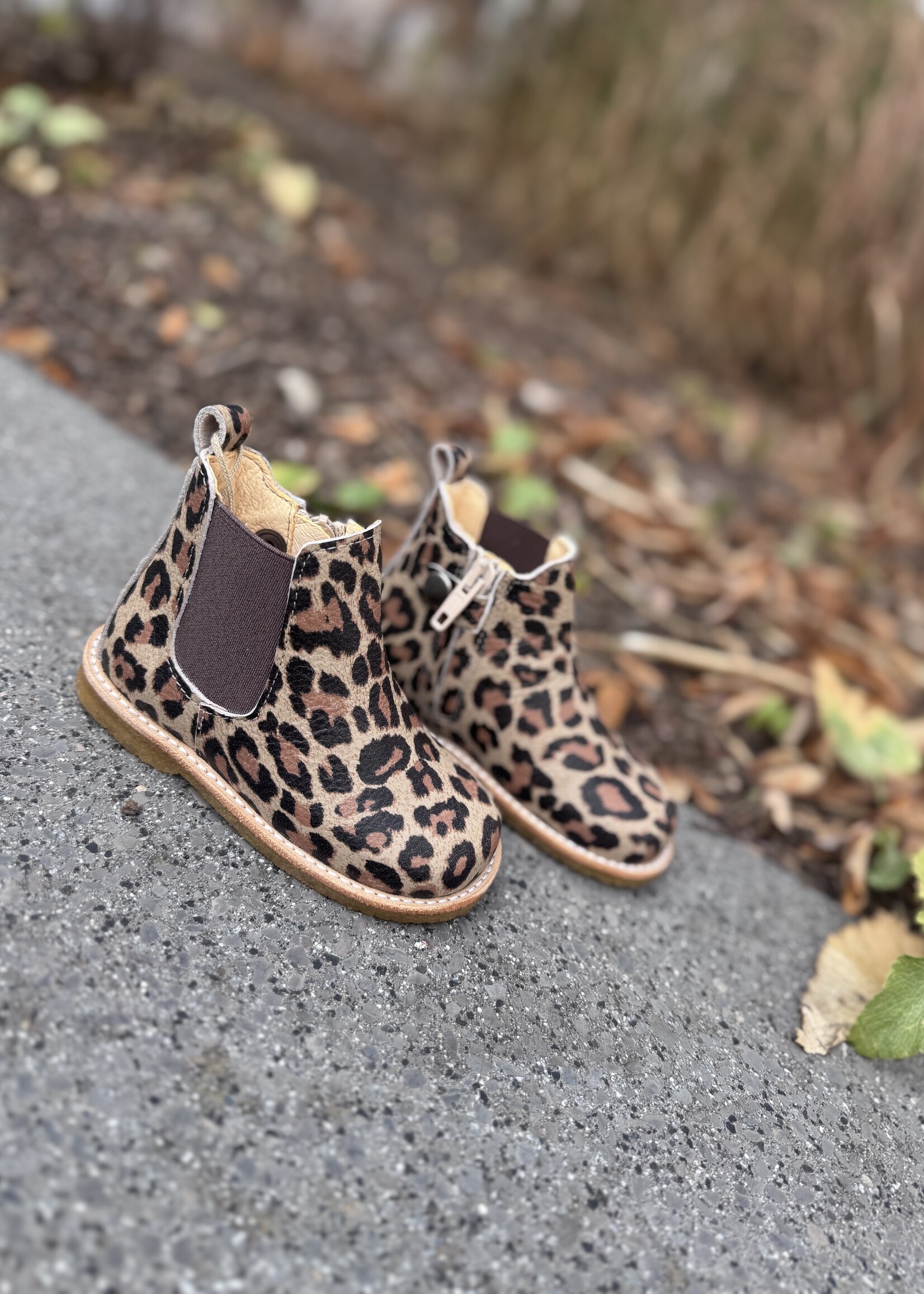 Angulus 6025-105 beginner chelsea boot beige leo brown