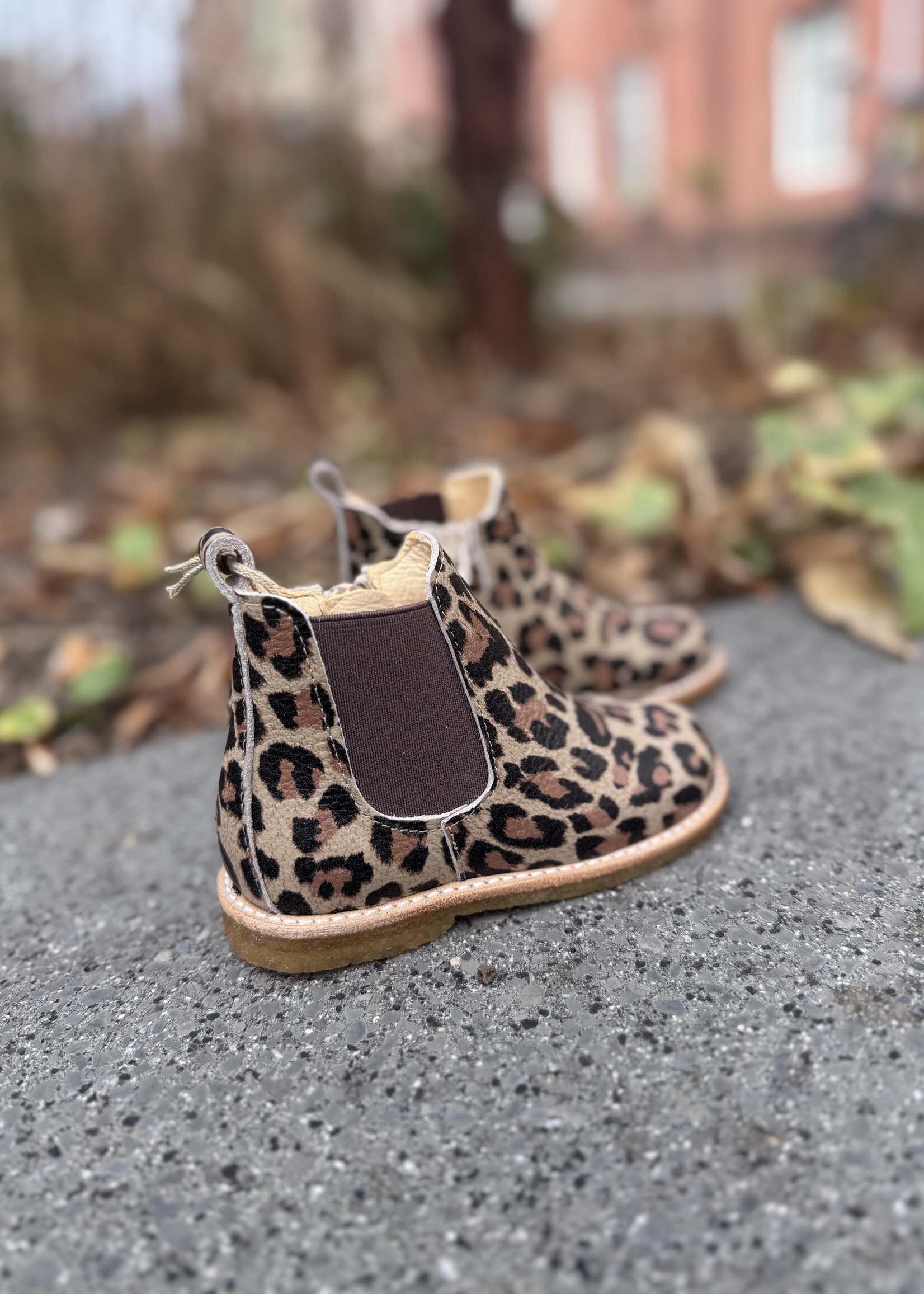 Angulus 6025-105 beginner chelsea boot beige leo brown