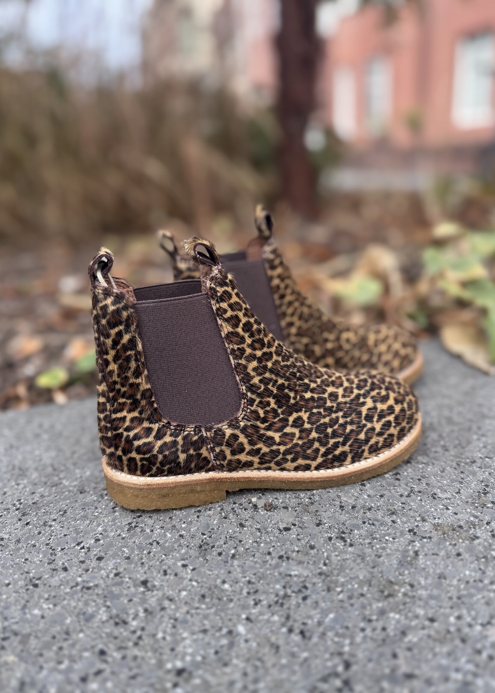Angulus 2192-206 chelsea boot mini leo pony brown