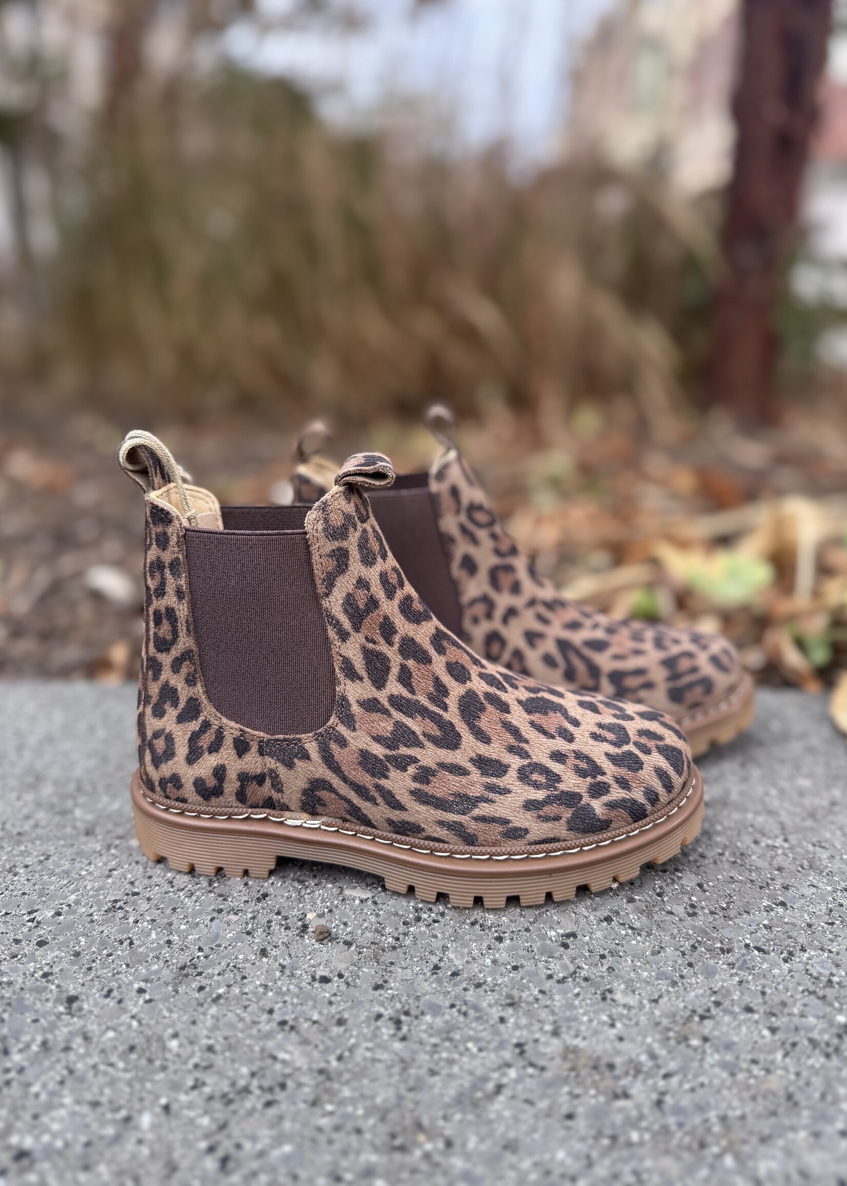 Angulus 2192-401 chunky chelsea boot leopard brown elastic