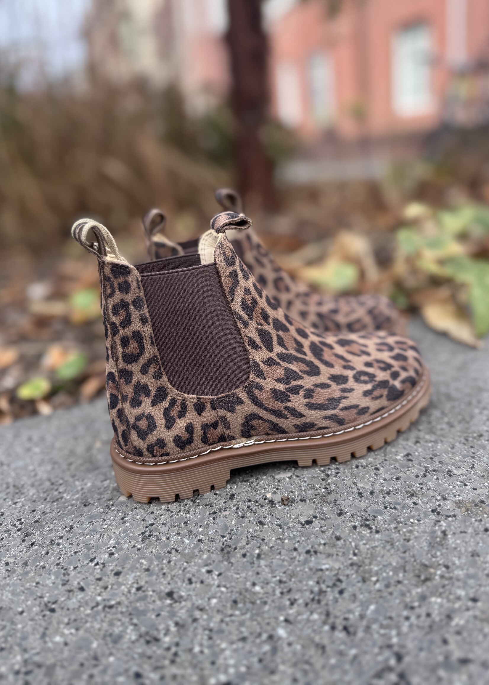 Angulus 2192-401 chunky chelsea boot leopard brown elastic