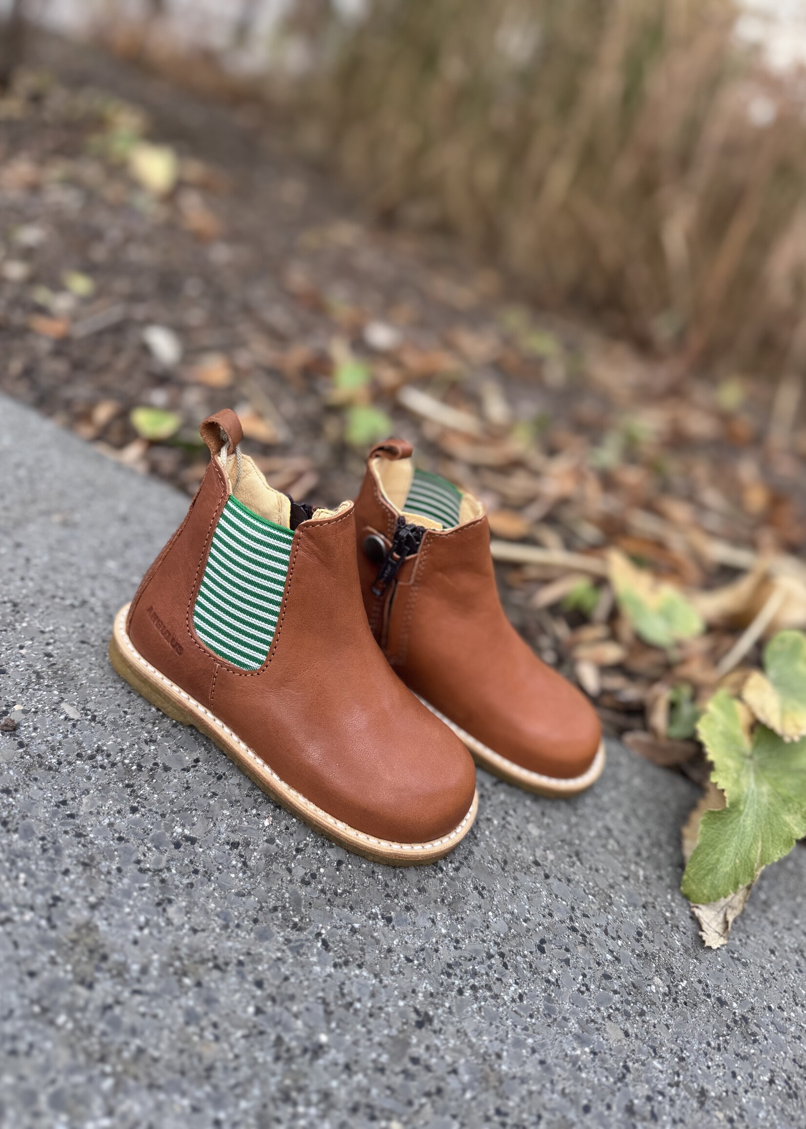 Angulus 6025-103 classic chelsea boot cognac striped elastic