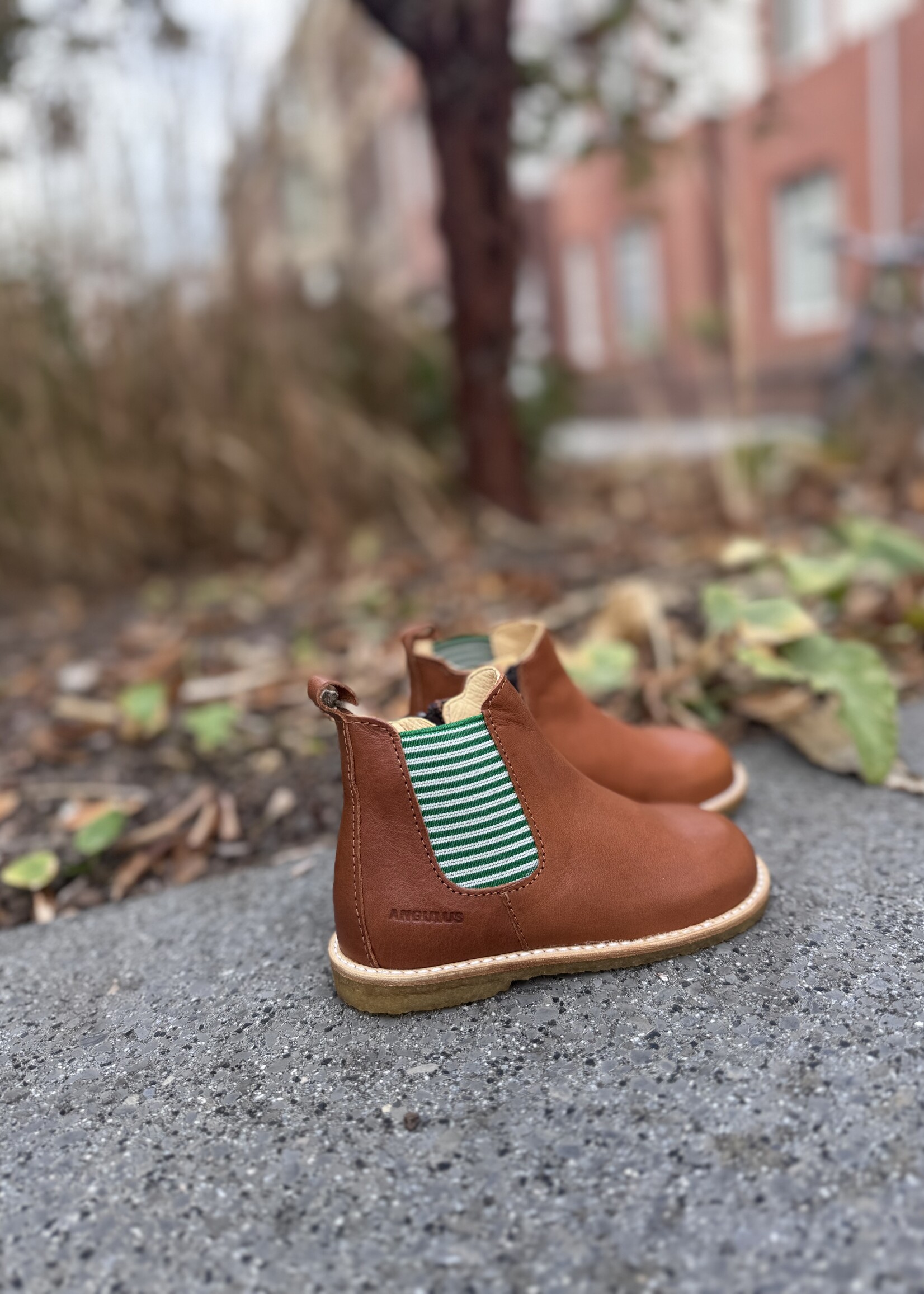 Angulus 6025-103 classic chelsea boot cognac striped elastic