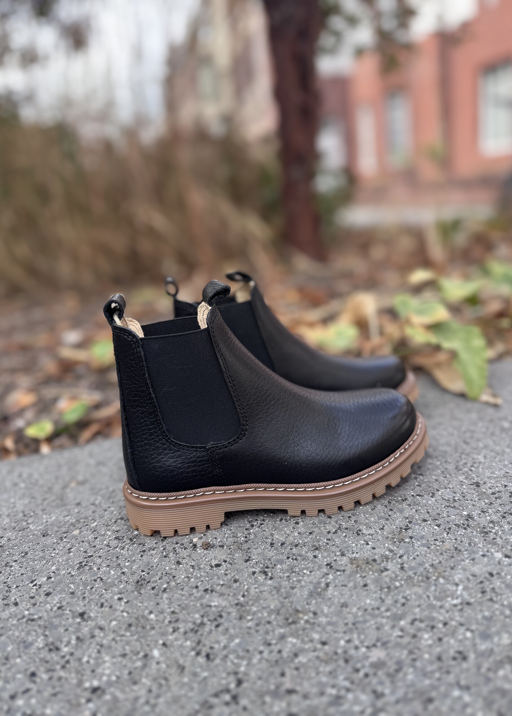 Angulus 2192-401 chunky chelsea boot black