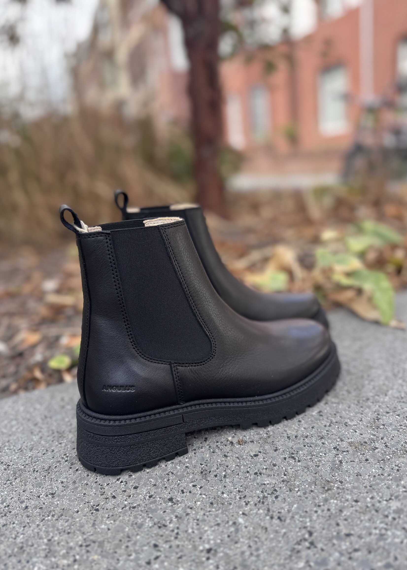 Angulus 6148-101 chelsea boot track sole black
