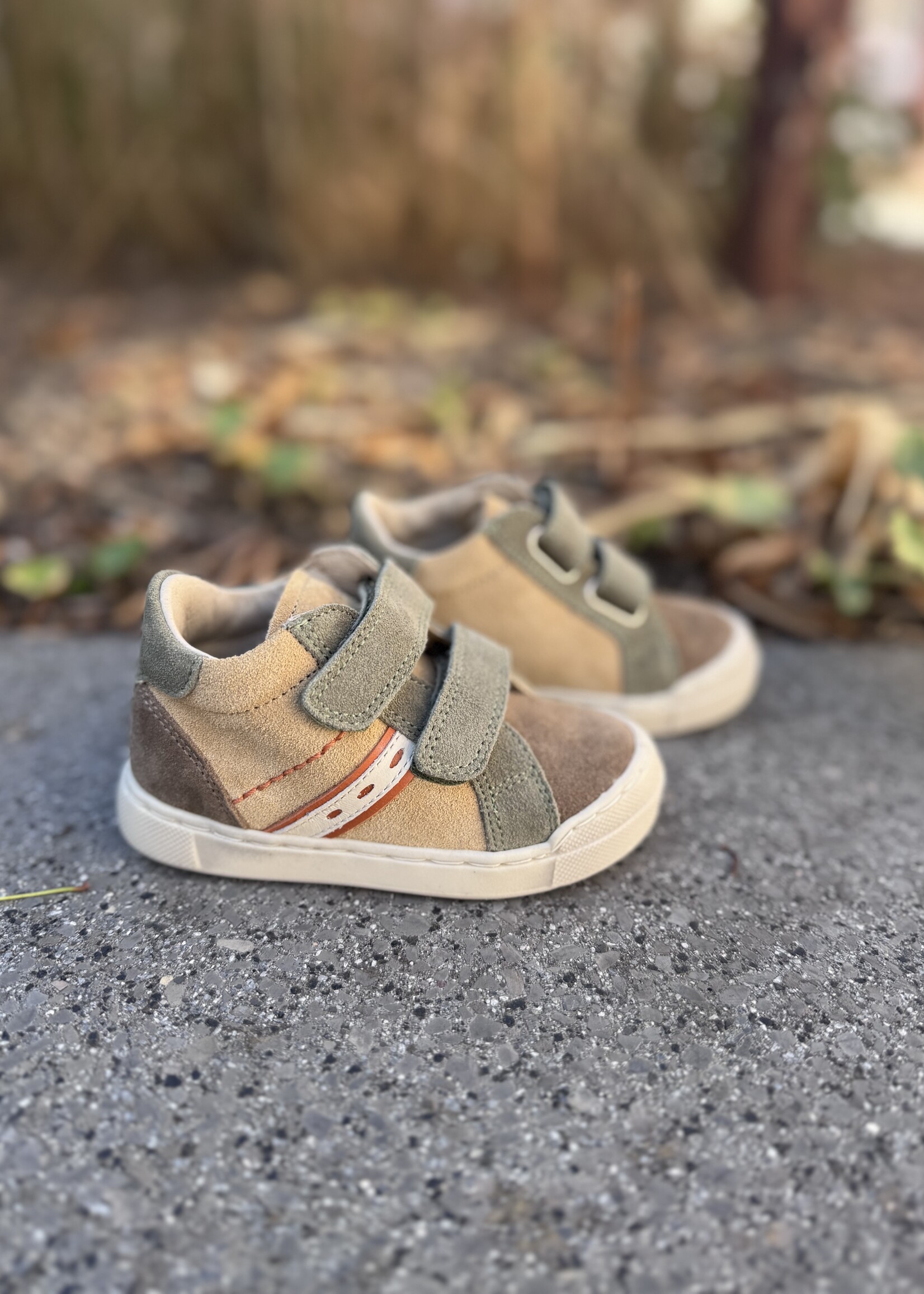 Falcotto simmis sand light brown olive