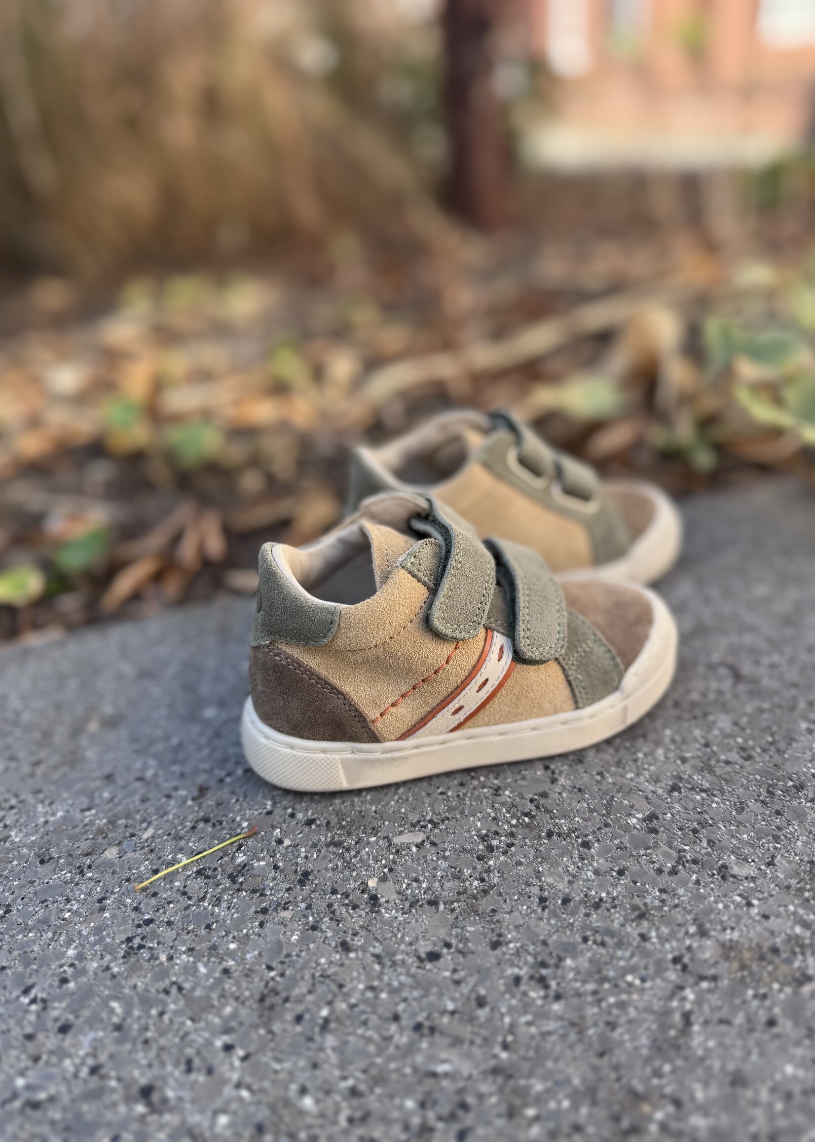 Falcotto simmis sand light brown olive