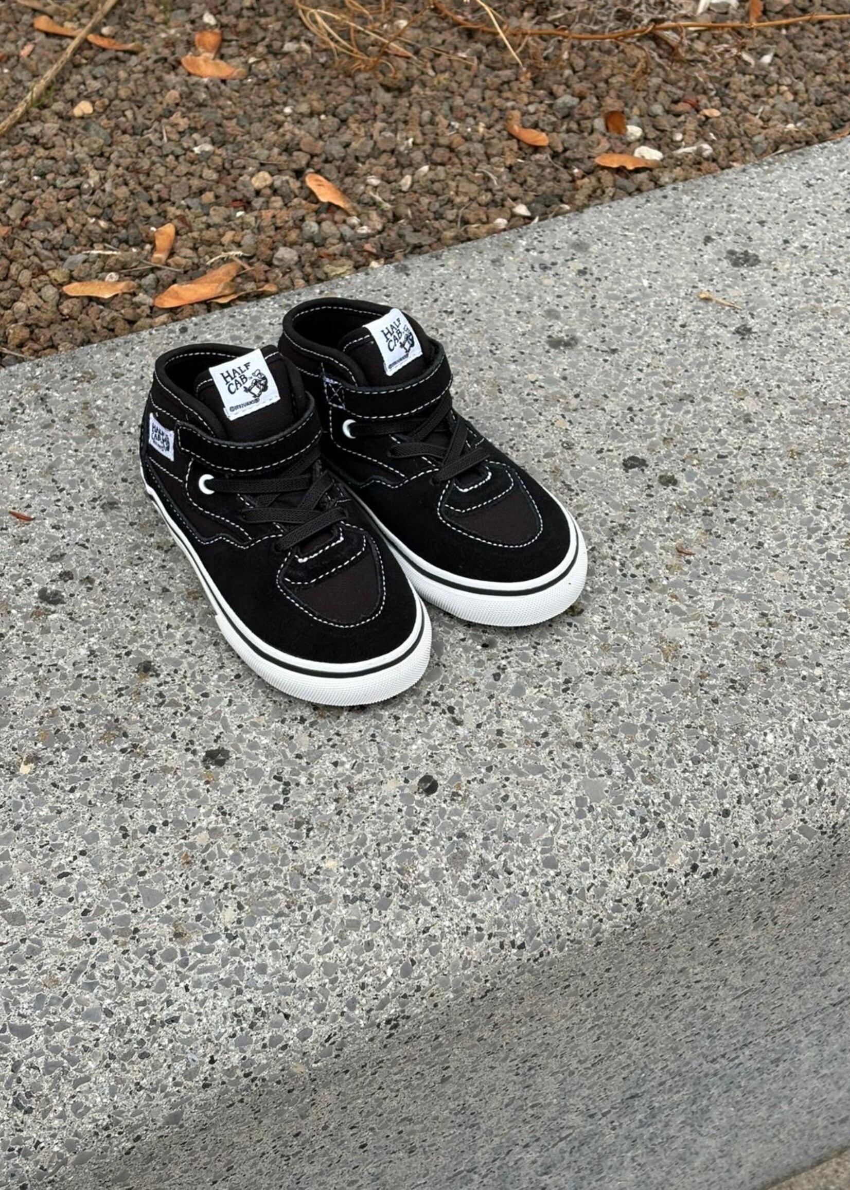 Vans half cab elastic lace suede black white