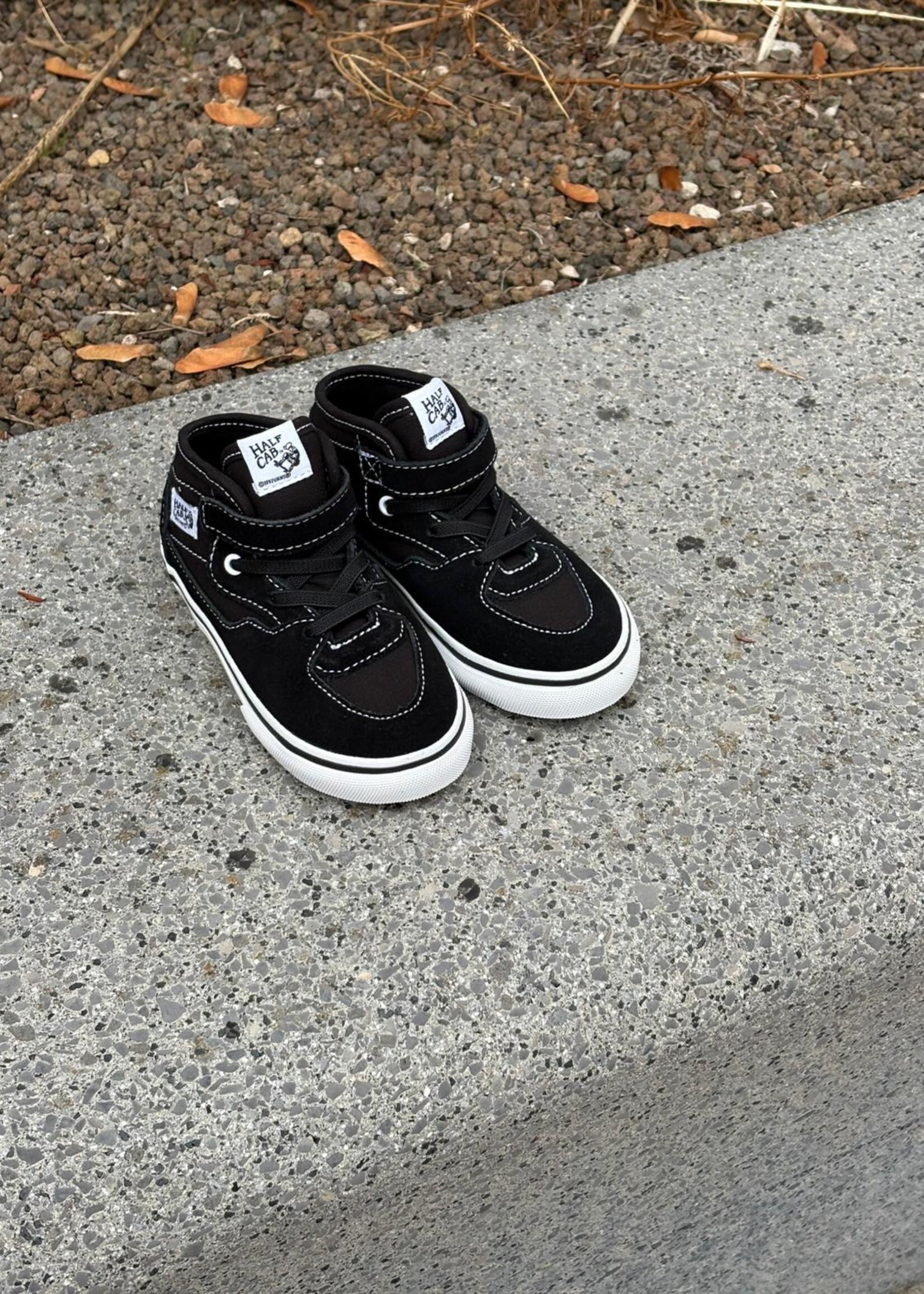 Vans half cab elastic lace suede black white