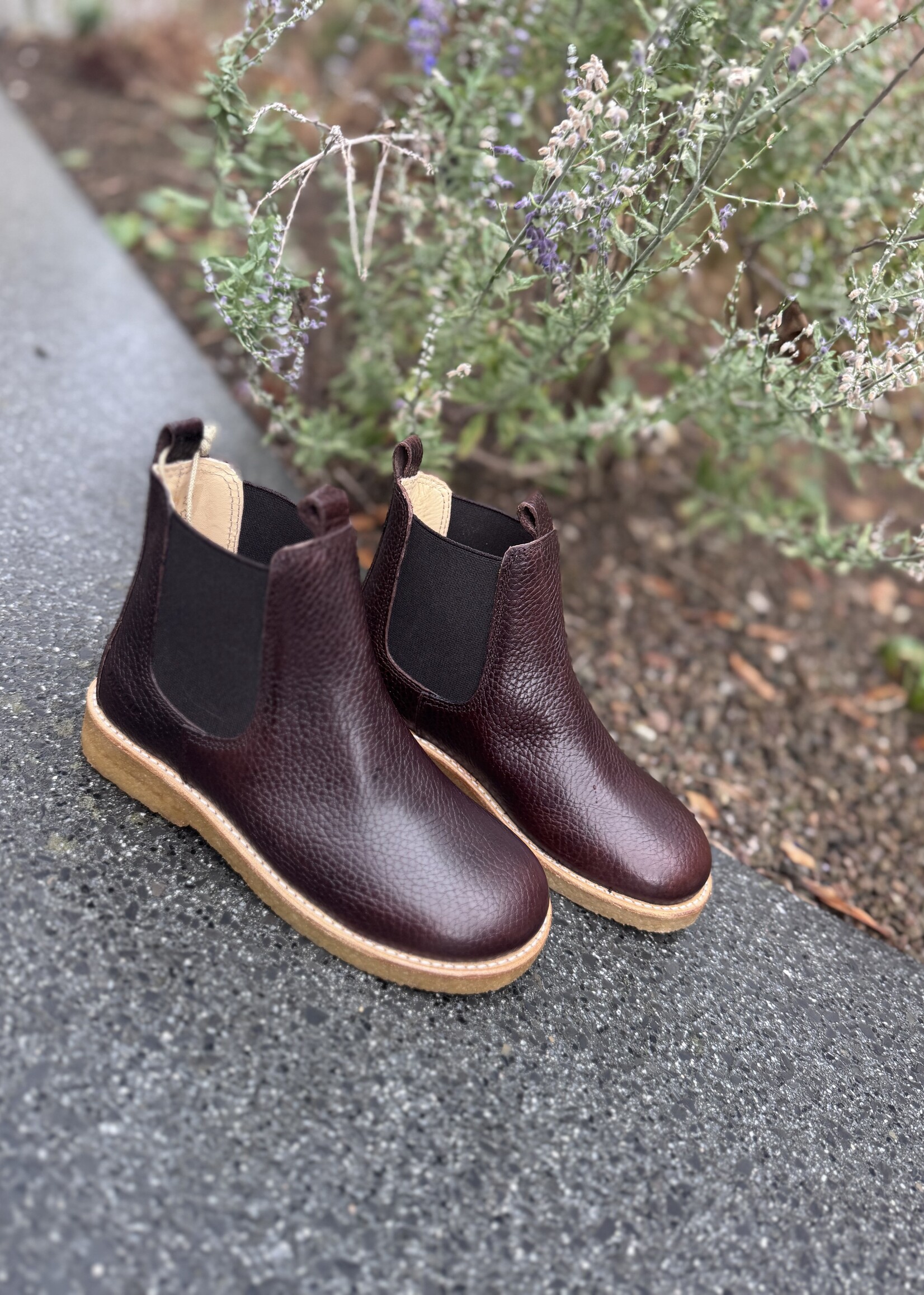 Angulus 2192-201 chelsea boot dark brown/brown
