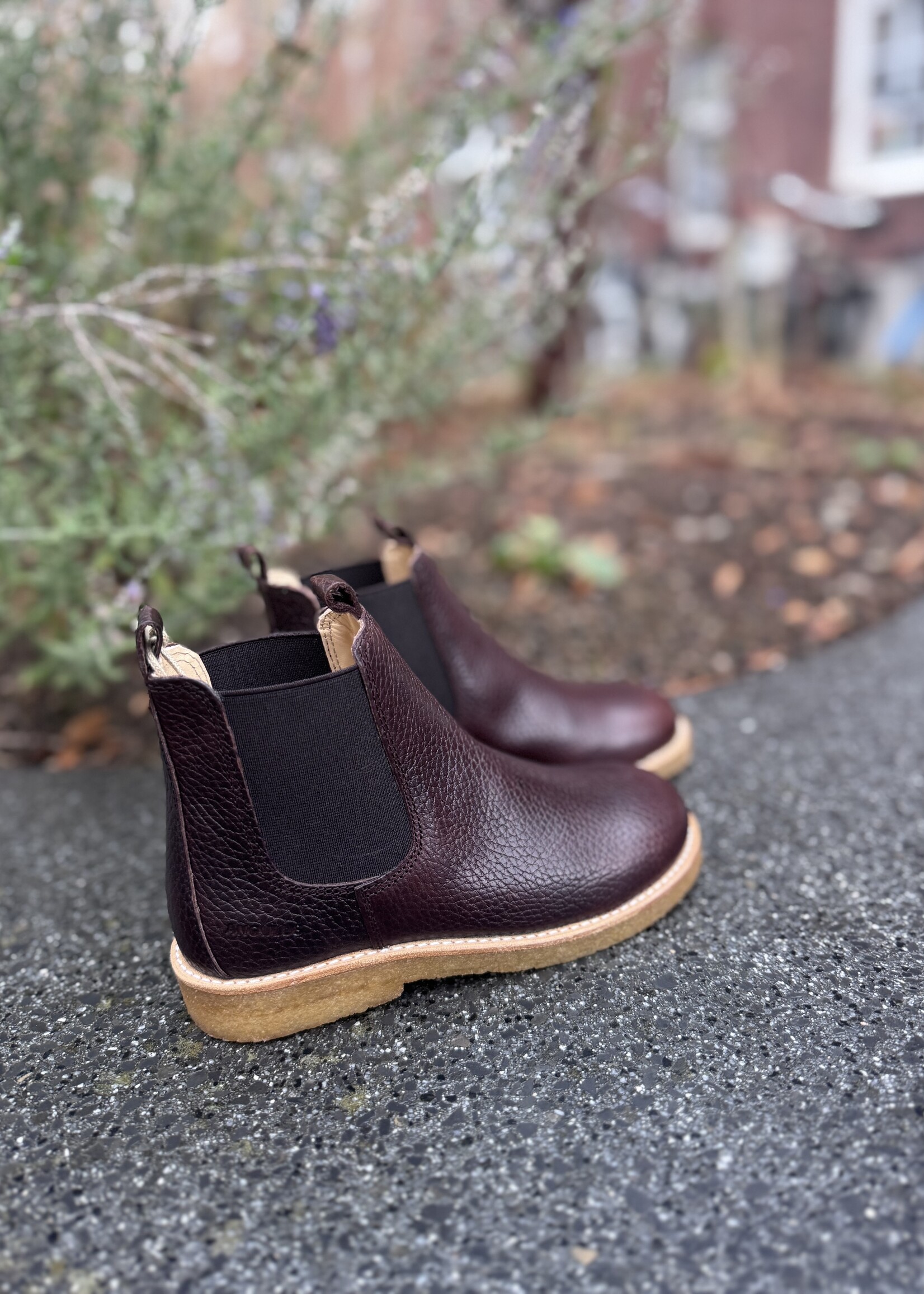 Angulus 2192-201 chelsea boot dark brown/brown
