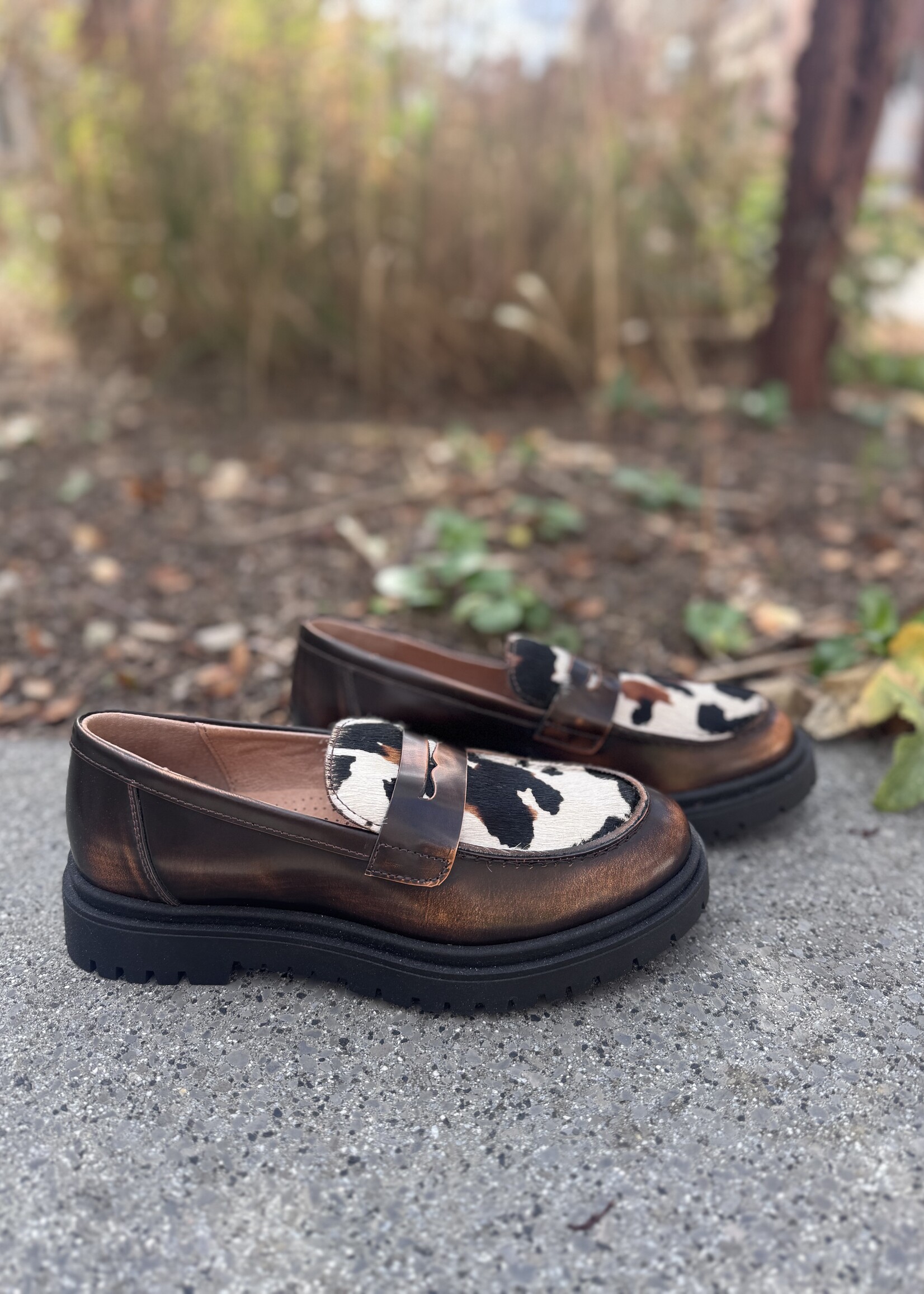 Dianetti I1589T mocassin bronzo nero