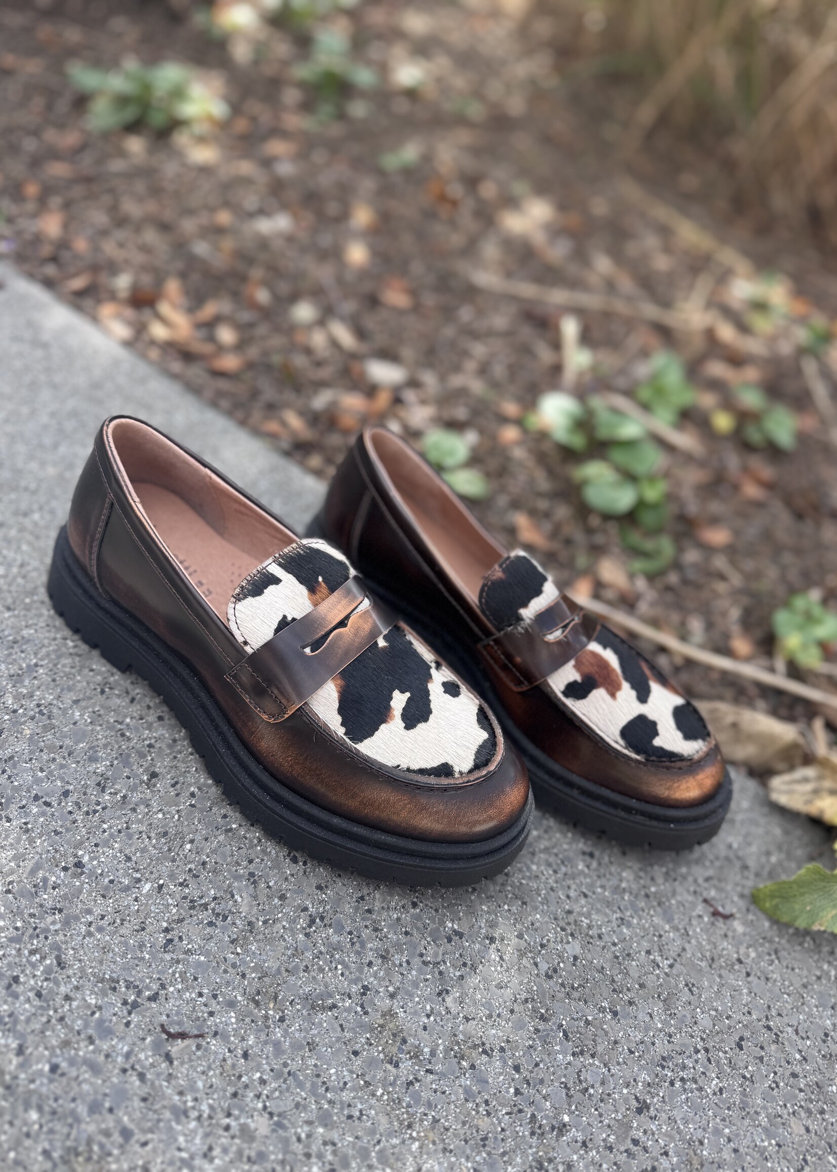 Dianetti I1589T mocassin bronzo nero