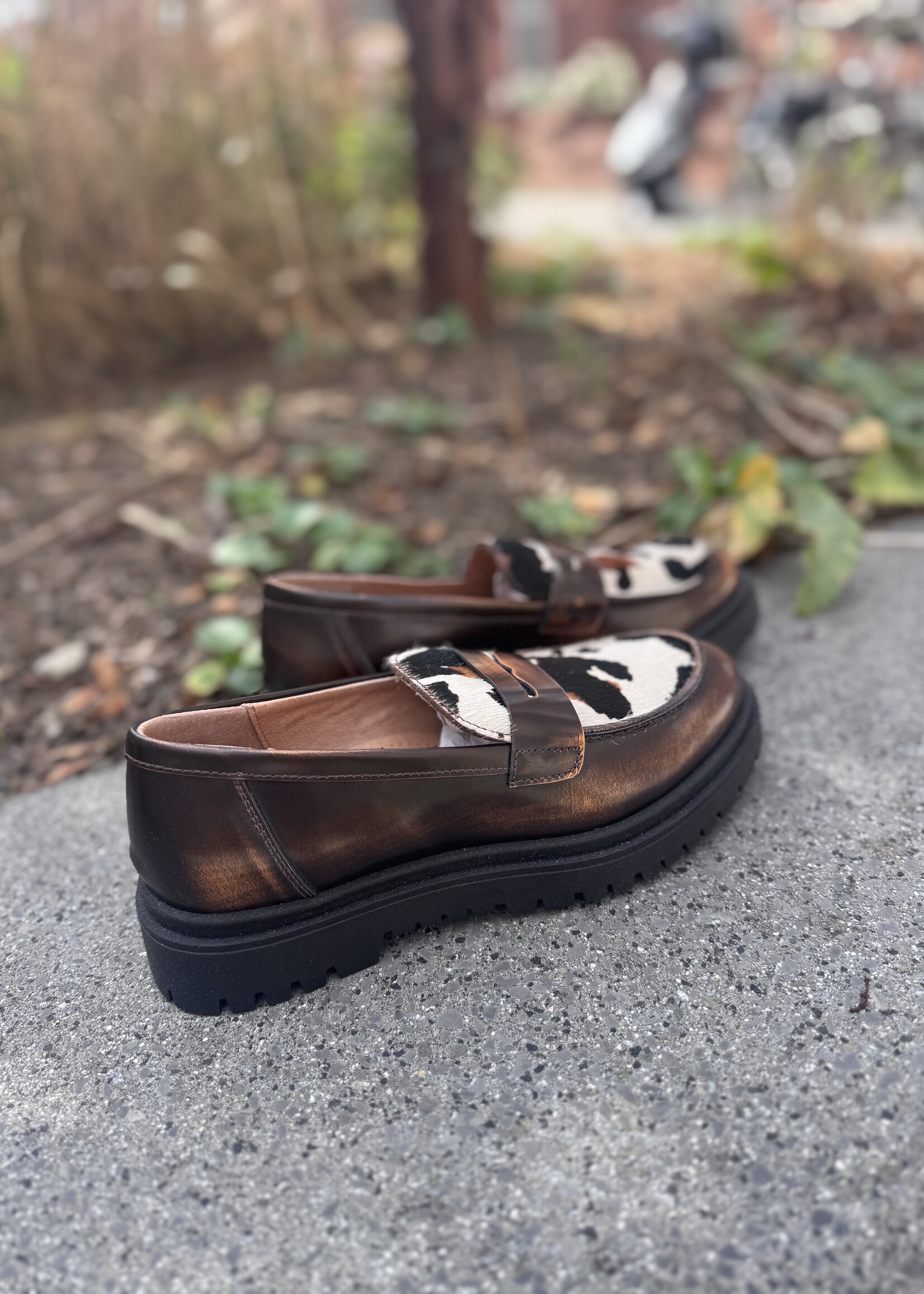 Dianetti I1589T mocassin bronzo nero